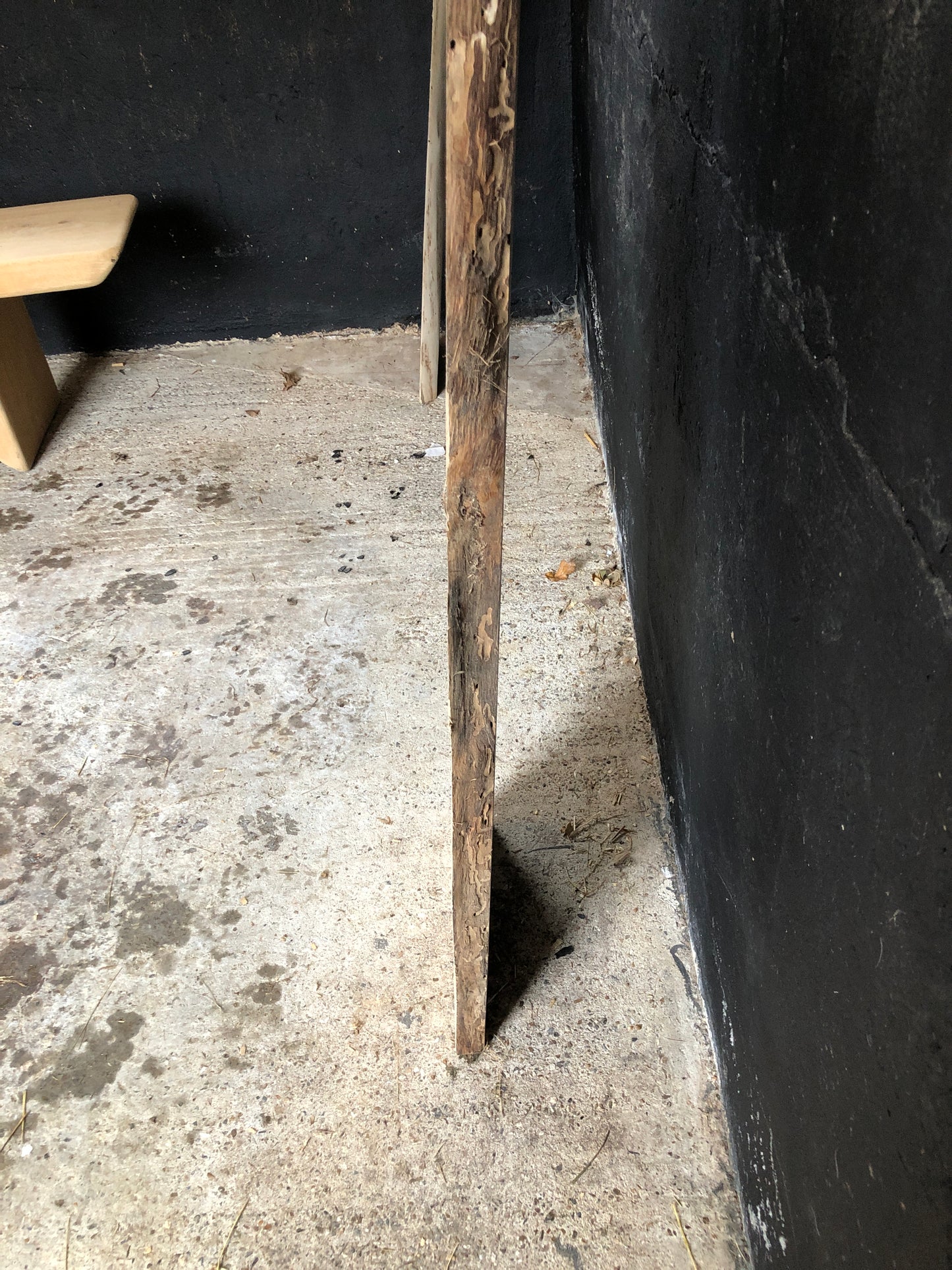 2.55m x 0.33m English Brown Tiger Oak Slab, kiln dried. Item O2.