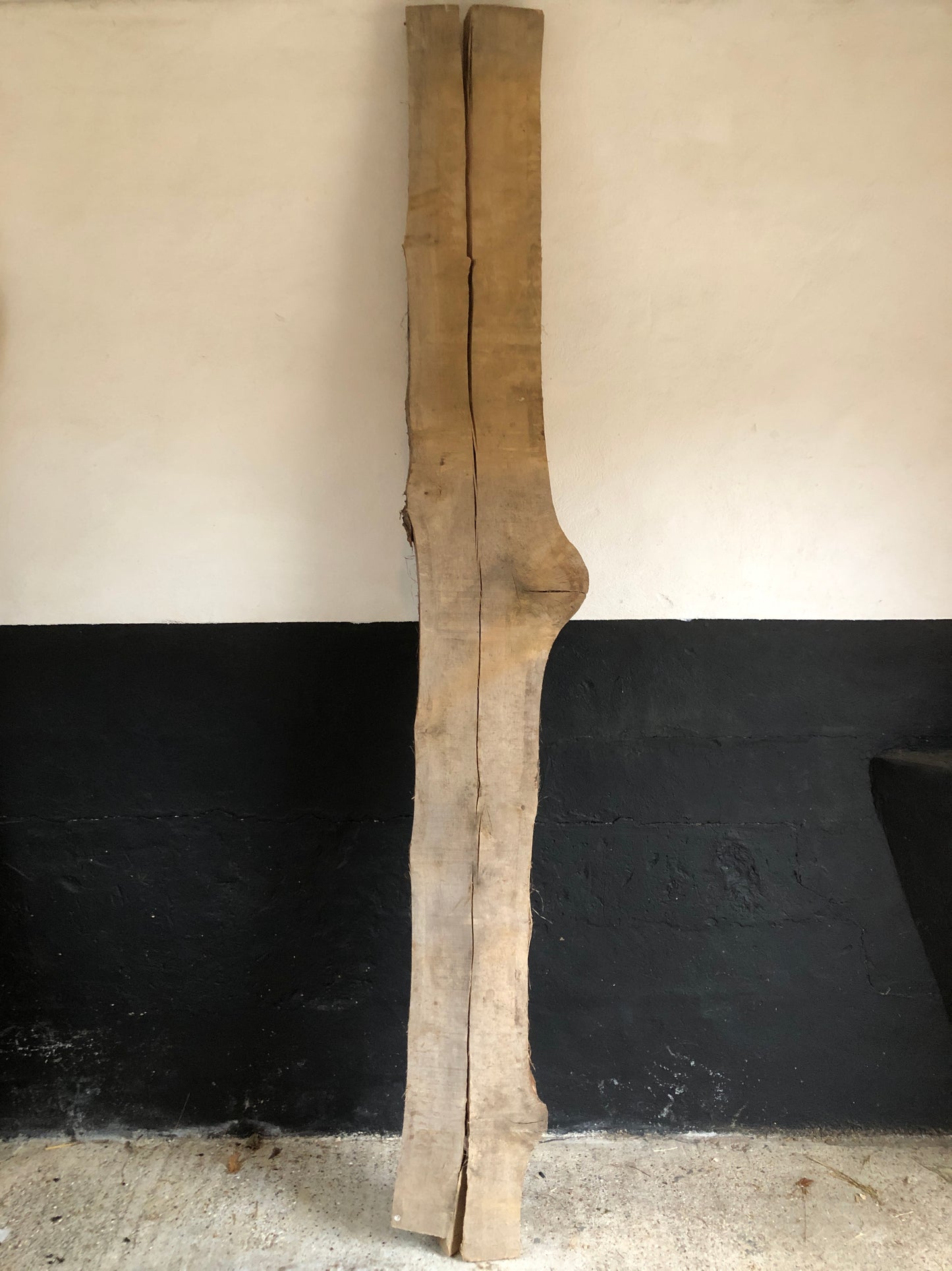 2.95m English Oak kiln dried board/slab. Item O3.