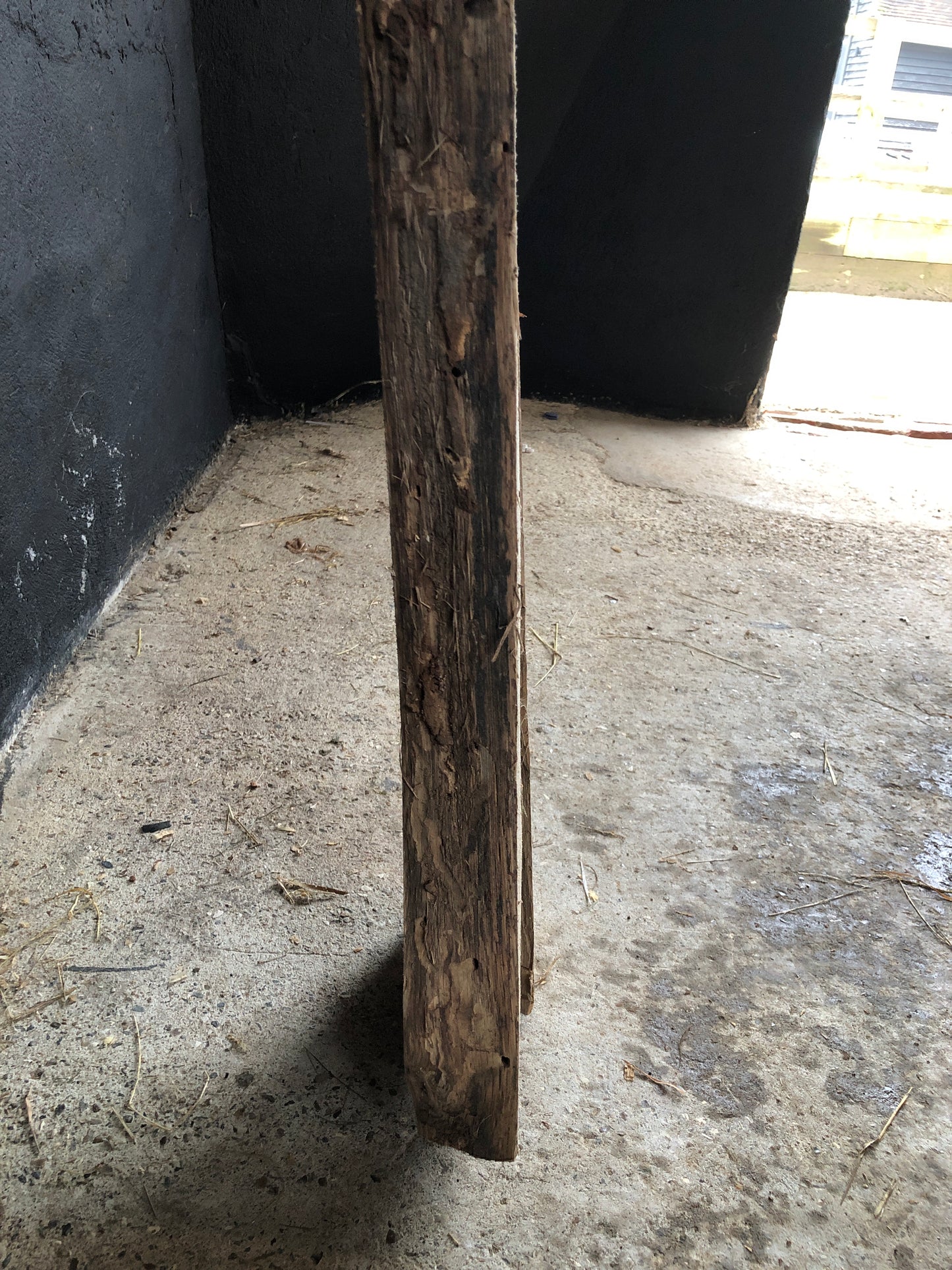 2.95m English Oak kiln dried board/slab. Item O3.