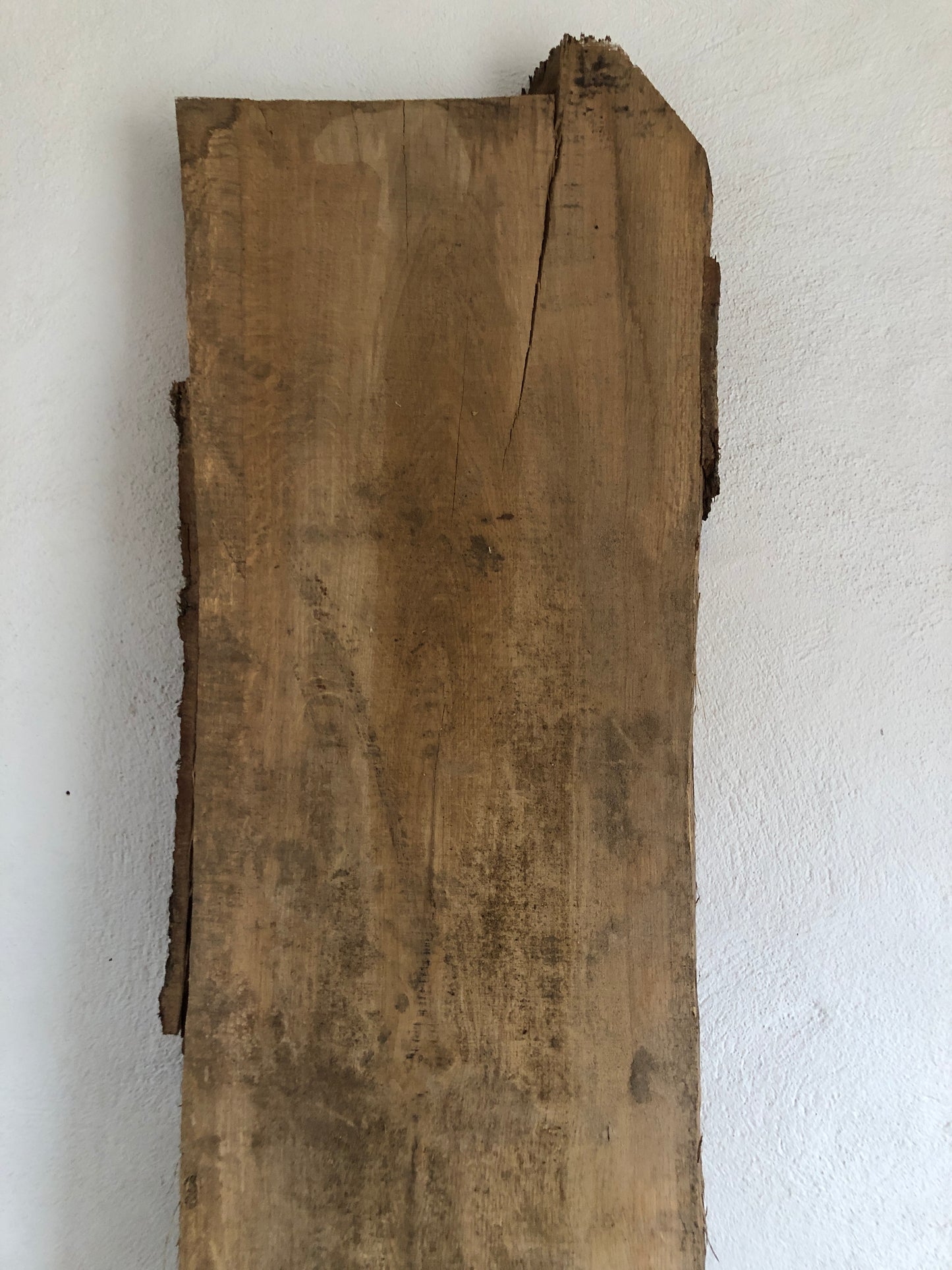 2.35m English Tiger Oak board / slab. Kiln Dried. Item O4.