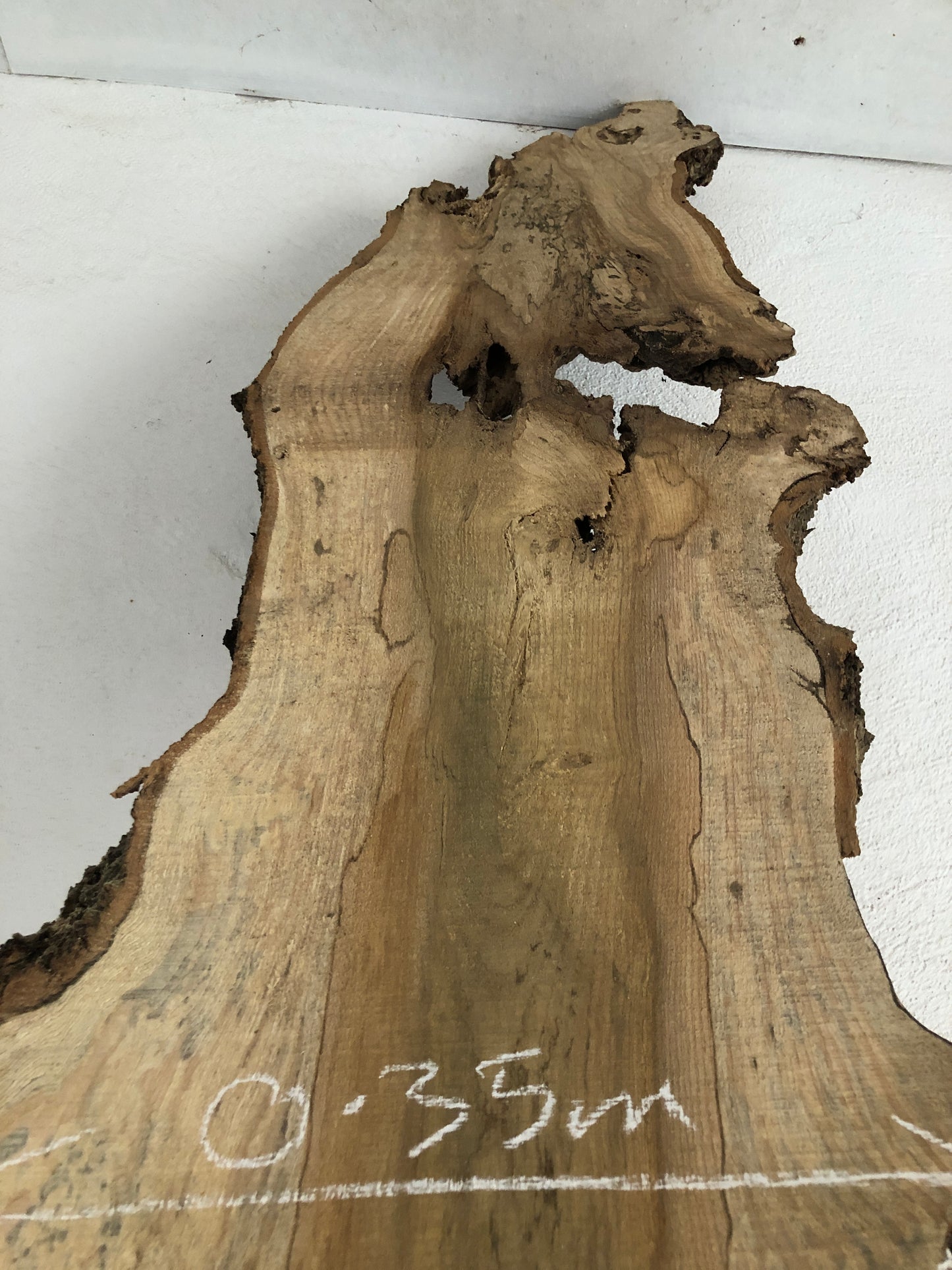 3.05m slim slab / board of spalted English Ash. Item A1.