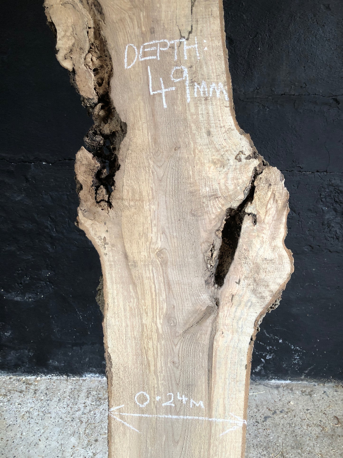3.05m slim slab / board of spalted English Ash. Item A1.
