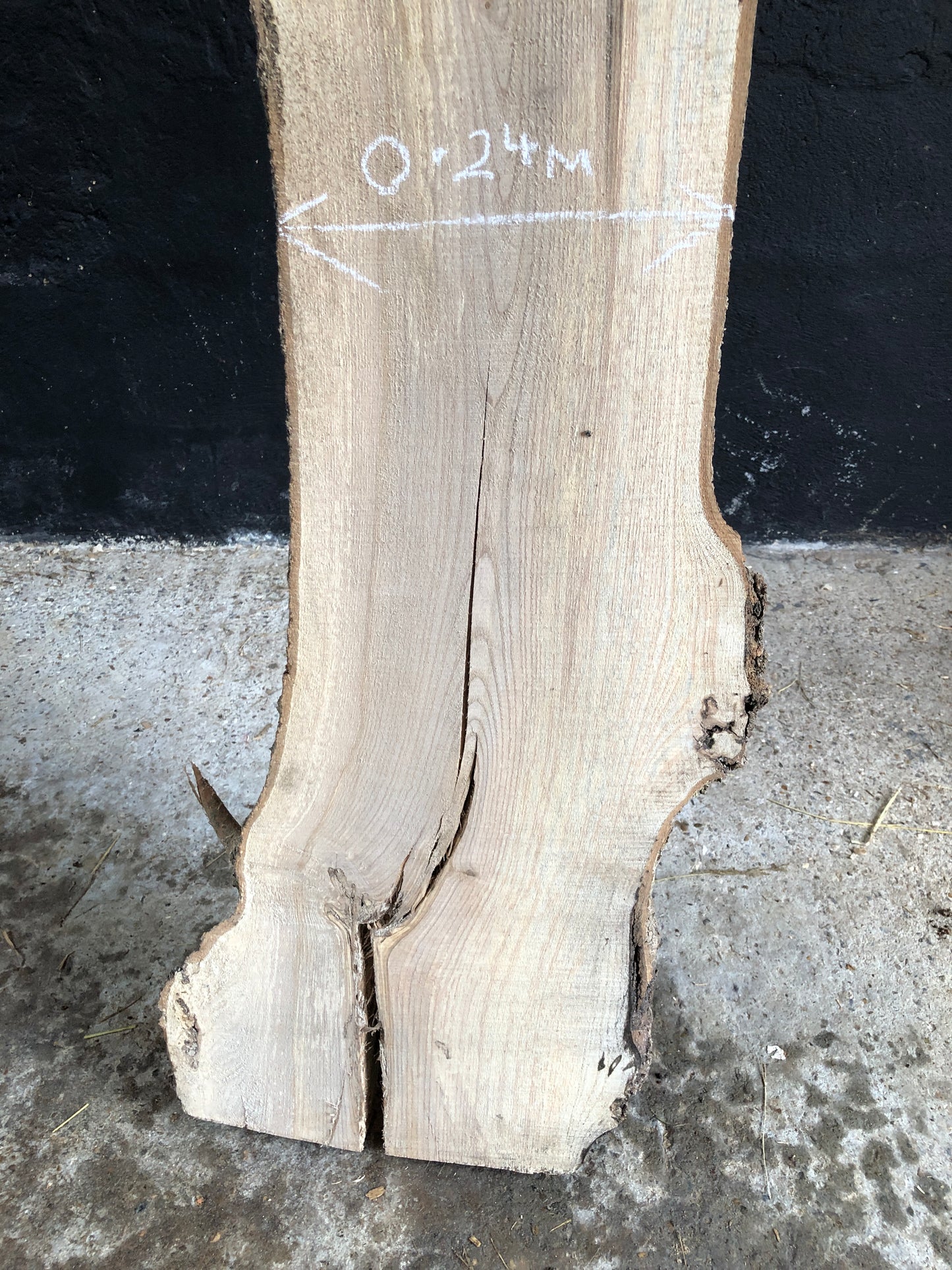 3.05m slim slab / board of spalted English Ash. Item A1.