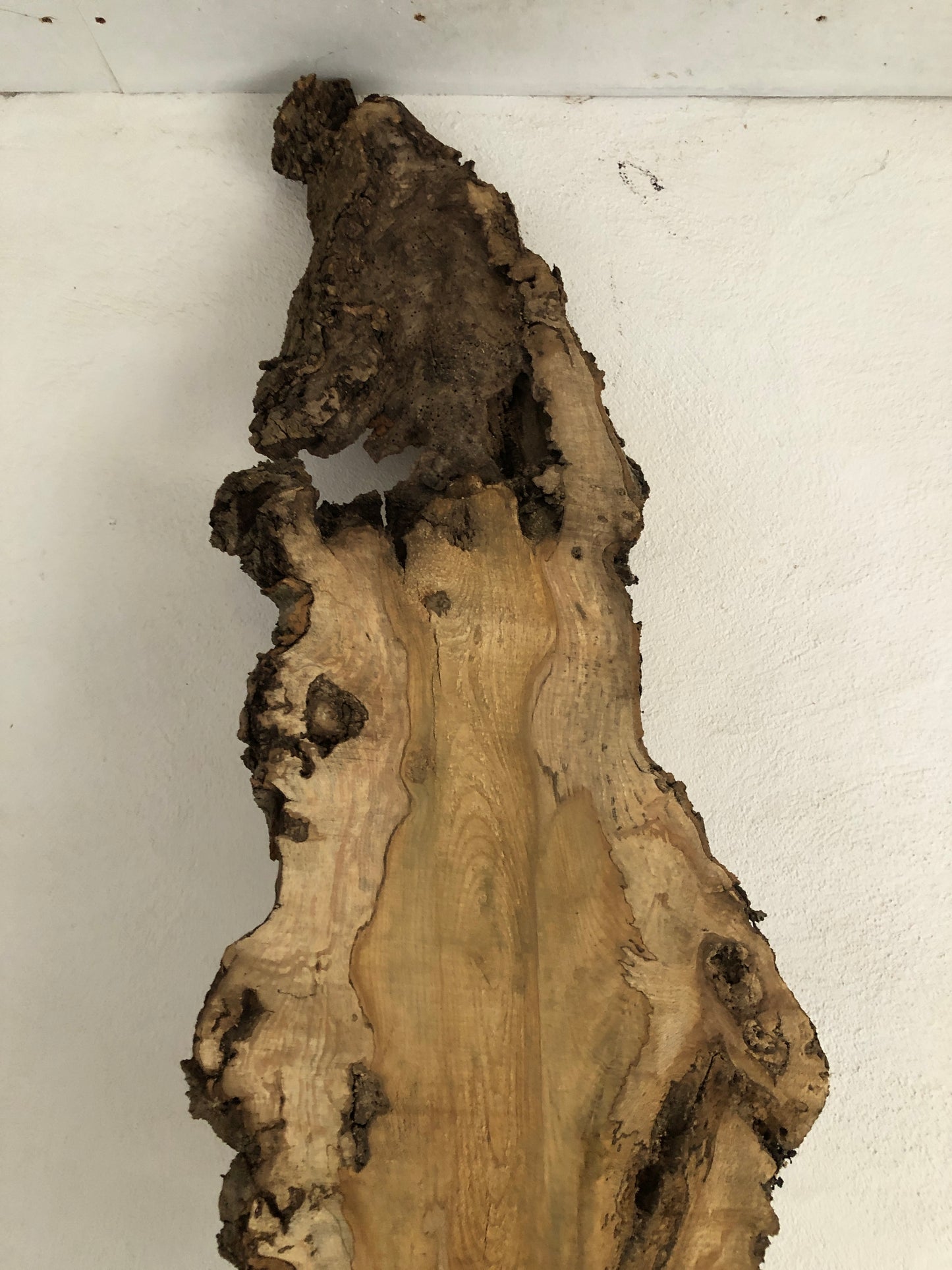 3.05m slim slab / board of spalted English Ash. Item A1.