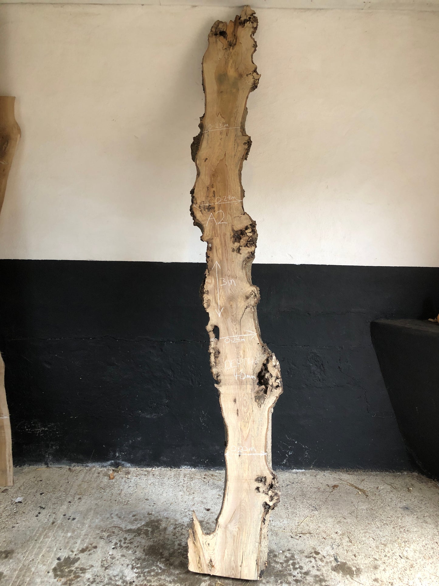 3m board / slim slab of spalted English Ash. Item A2.