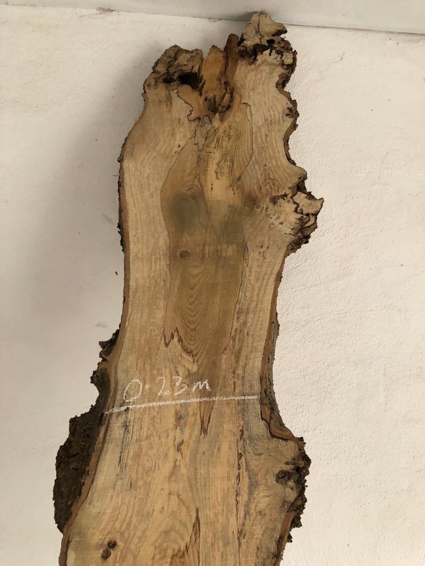 3m board / slim slab of spalted English Ash. Item A2.
