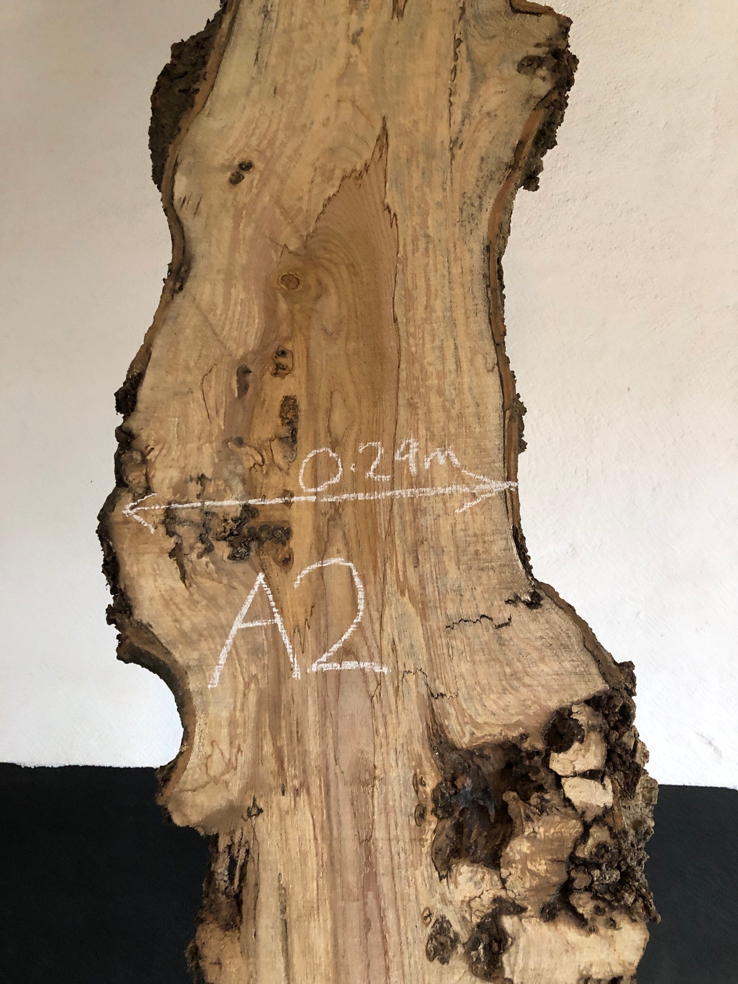 3m board / slim slab of spalted English Ash. Item A2.