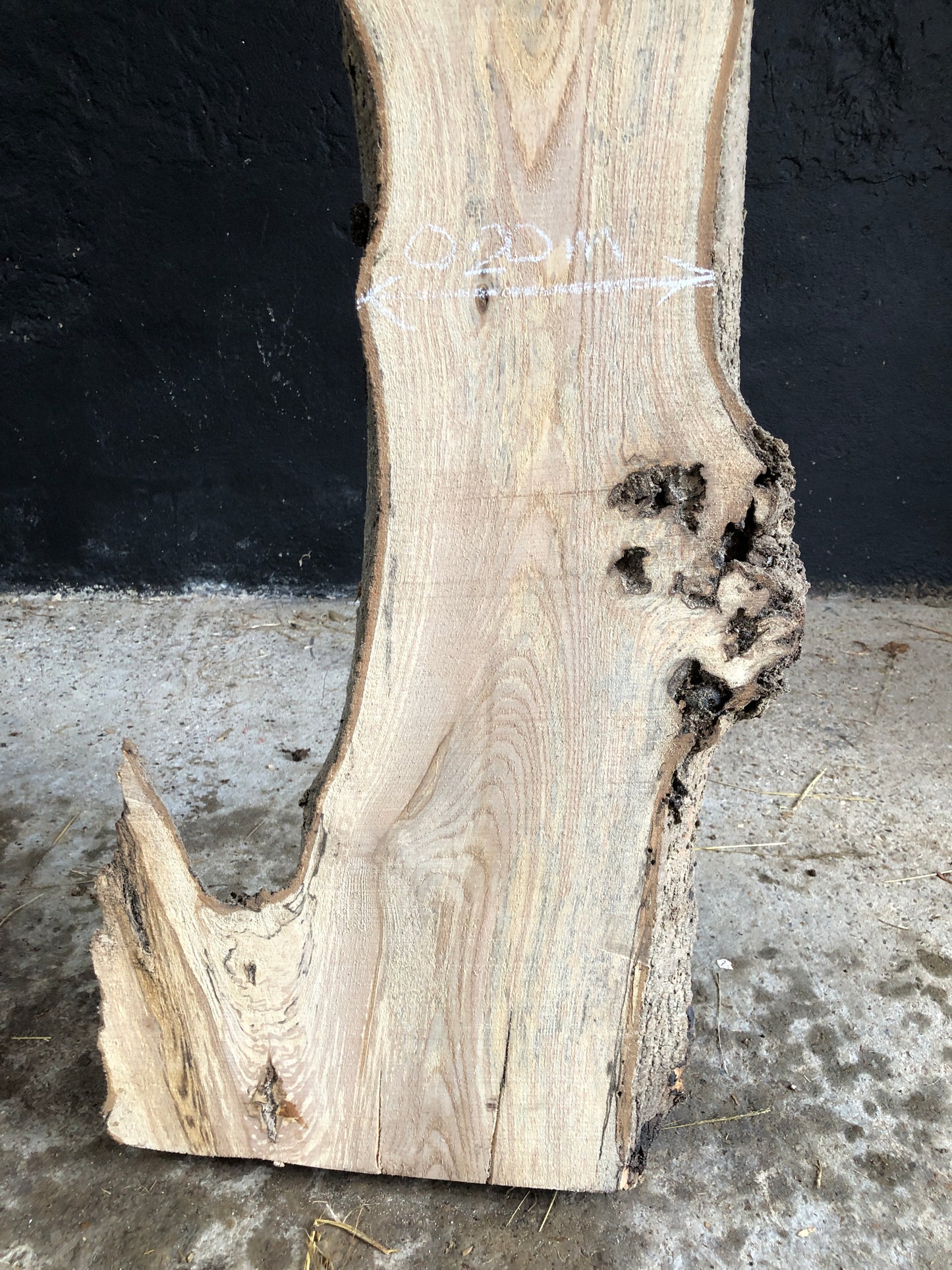 3m board / slim slab of spalted English Ash. Item A2.
