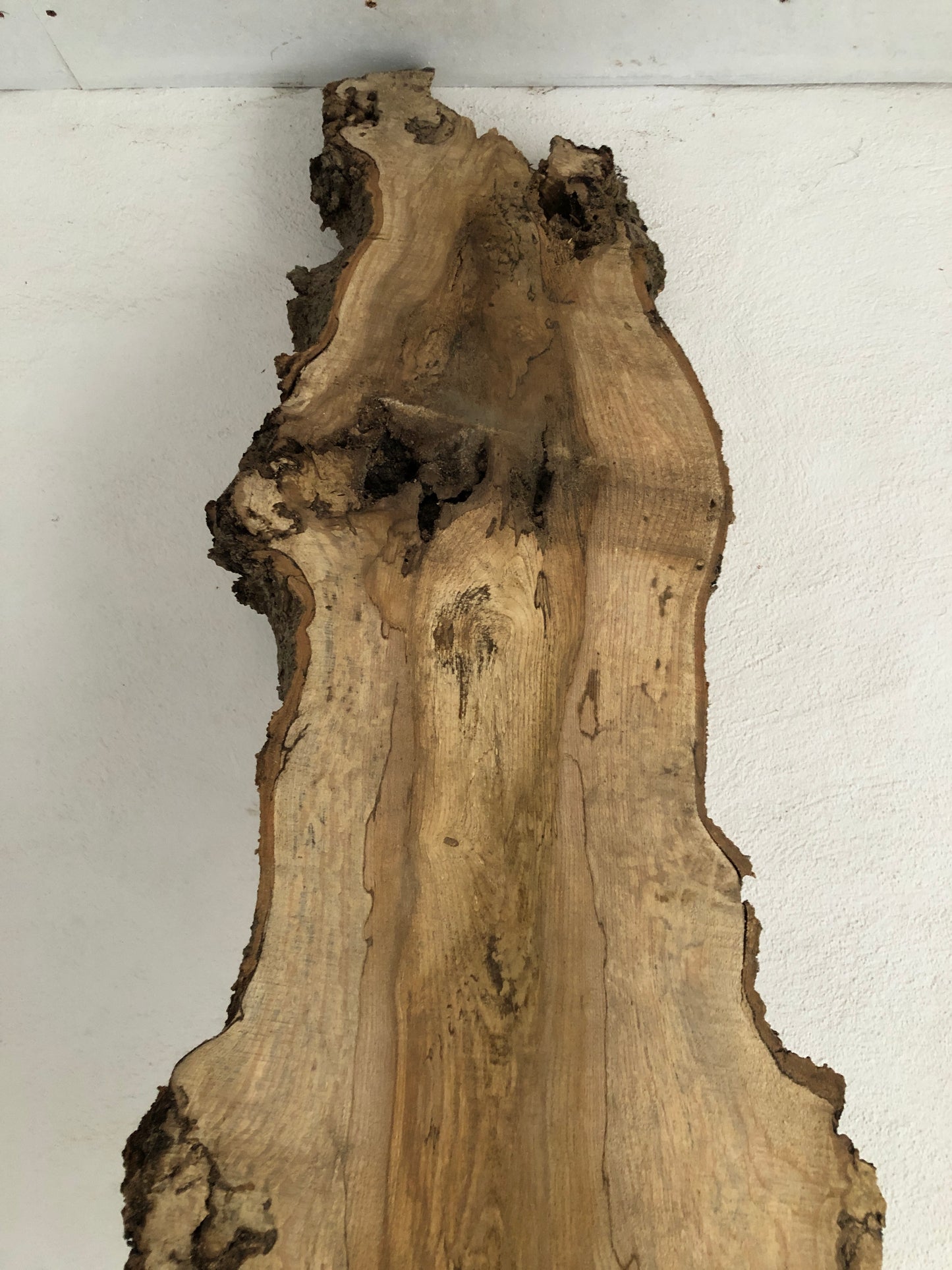 3m board / slim slab of spalted English Ash. Item A2.
