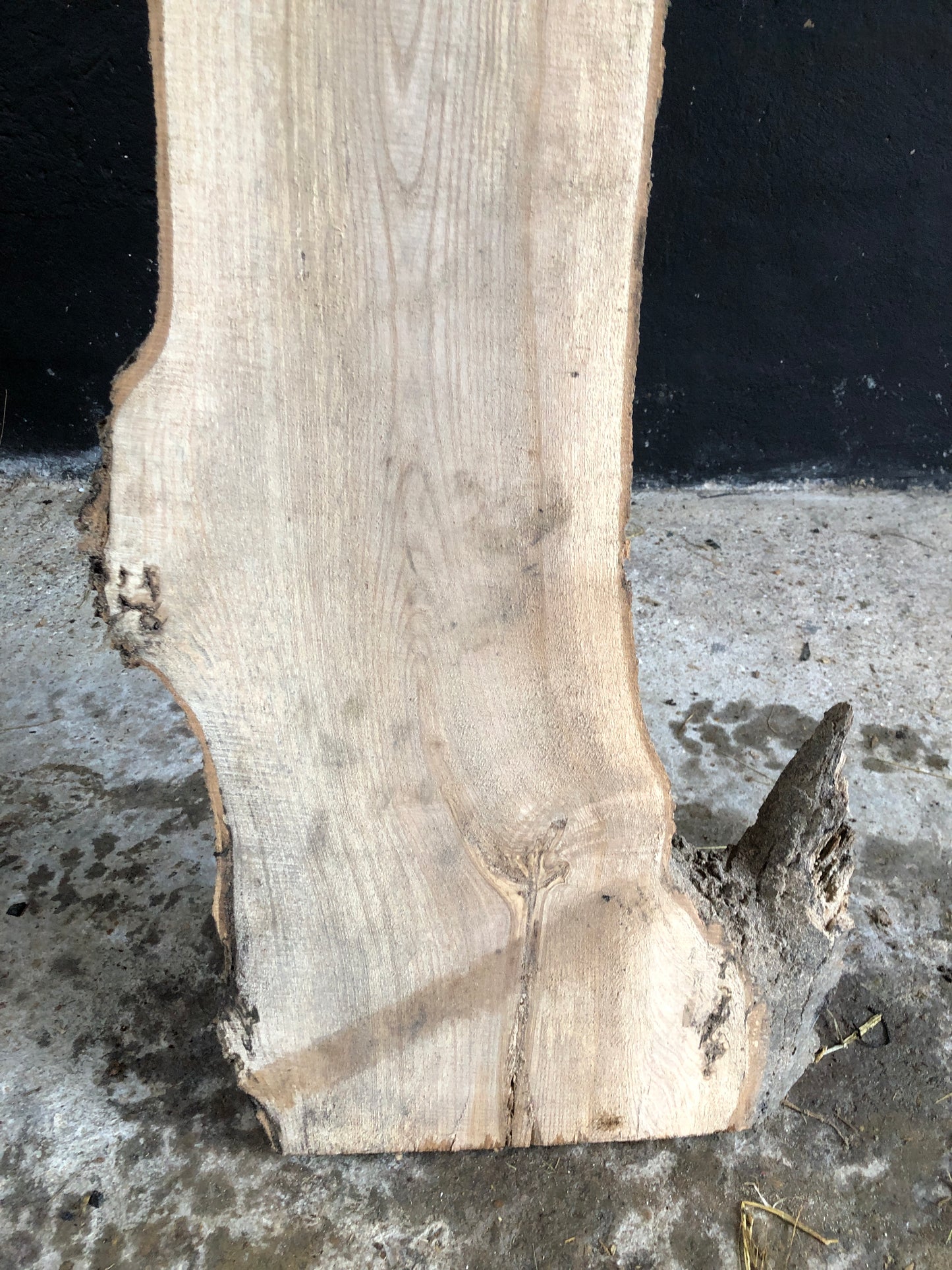 3m board / slim slab of spalted English Ash. Item A2.