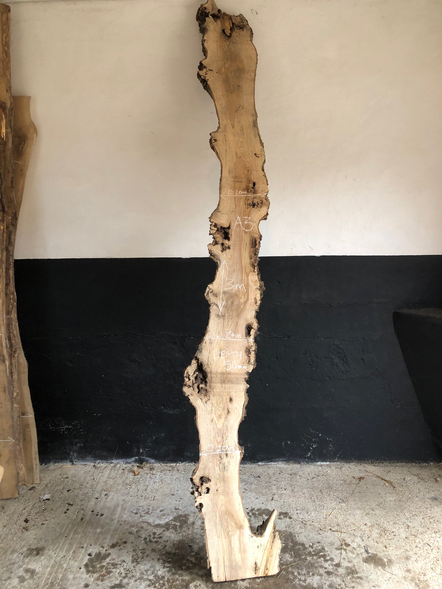 3m board / slab of spalted English Ash. Item A3.