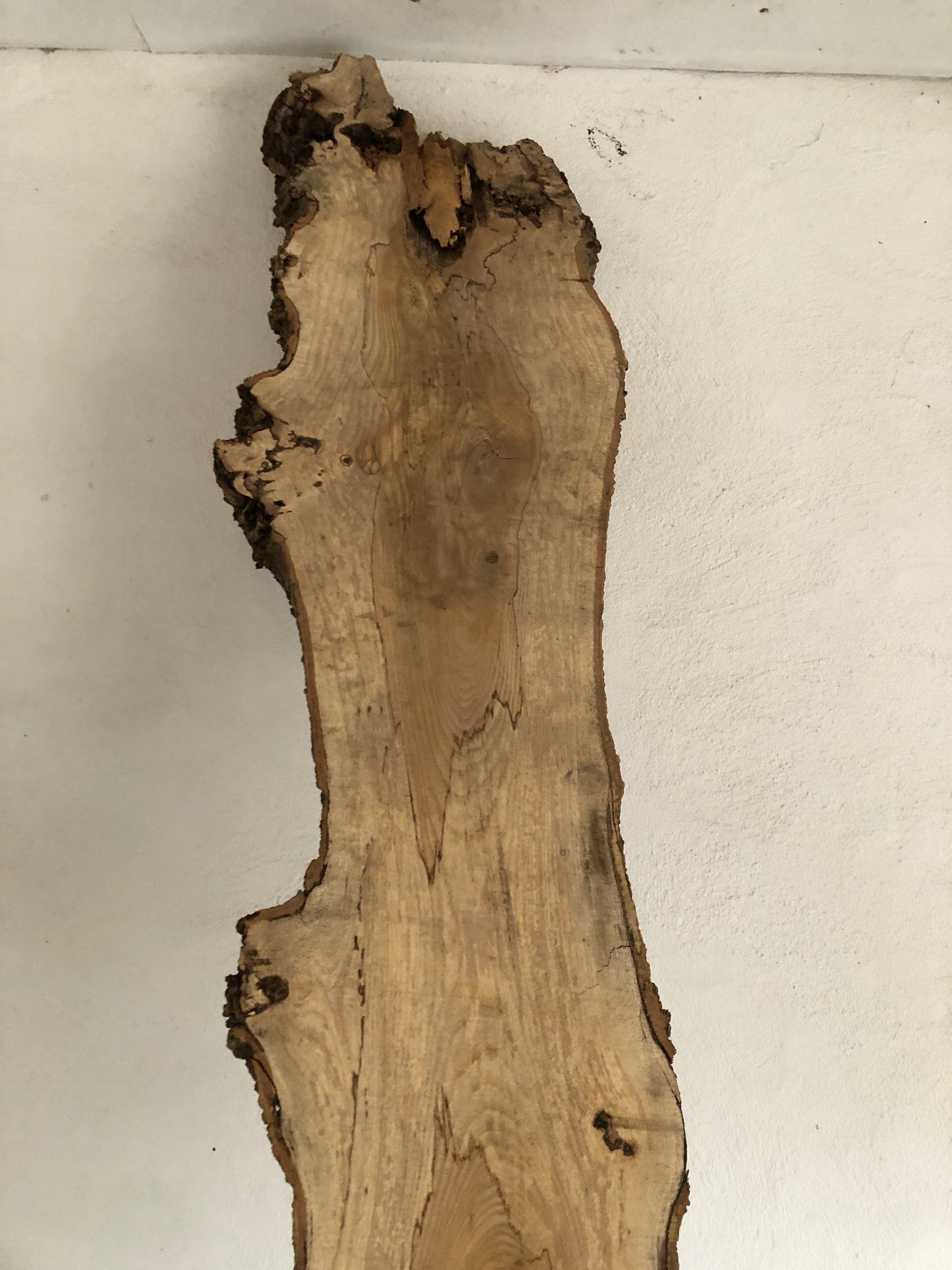 3m board / slab of spalted English Ash. Item A3.