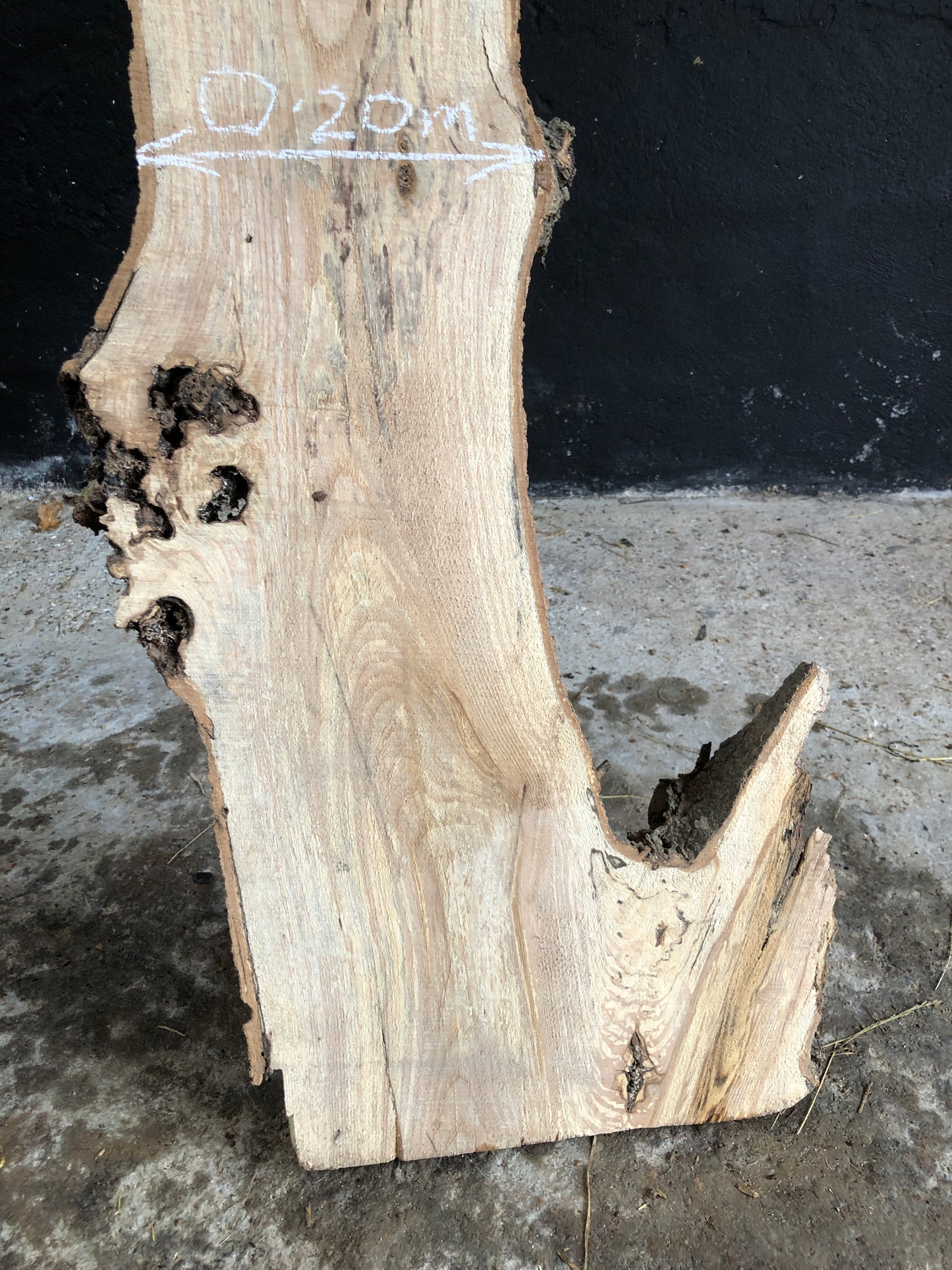 3m board / slab of spalted English Ash. Item A3.