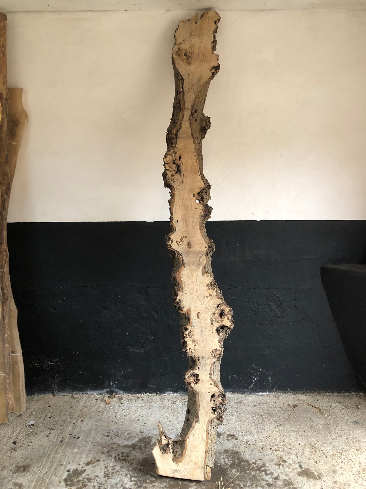 3m board / slab of spalted English Ash. Item A3.