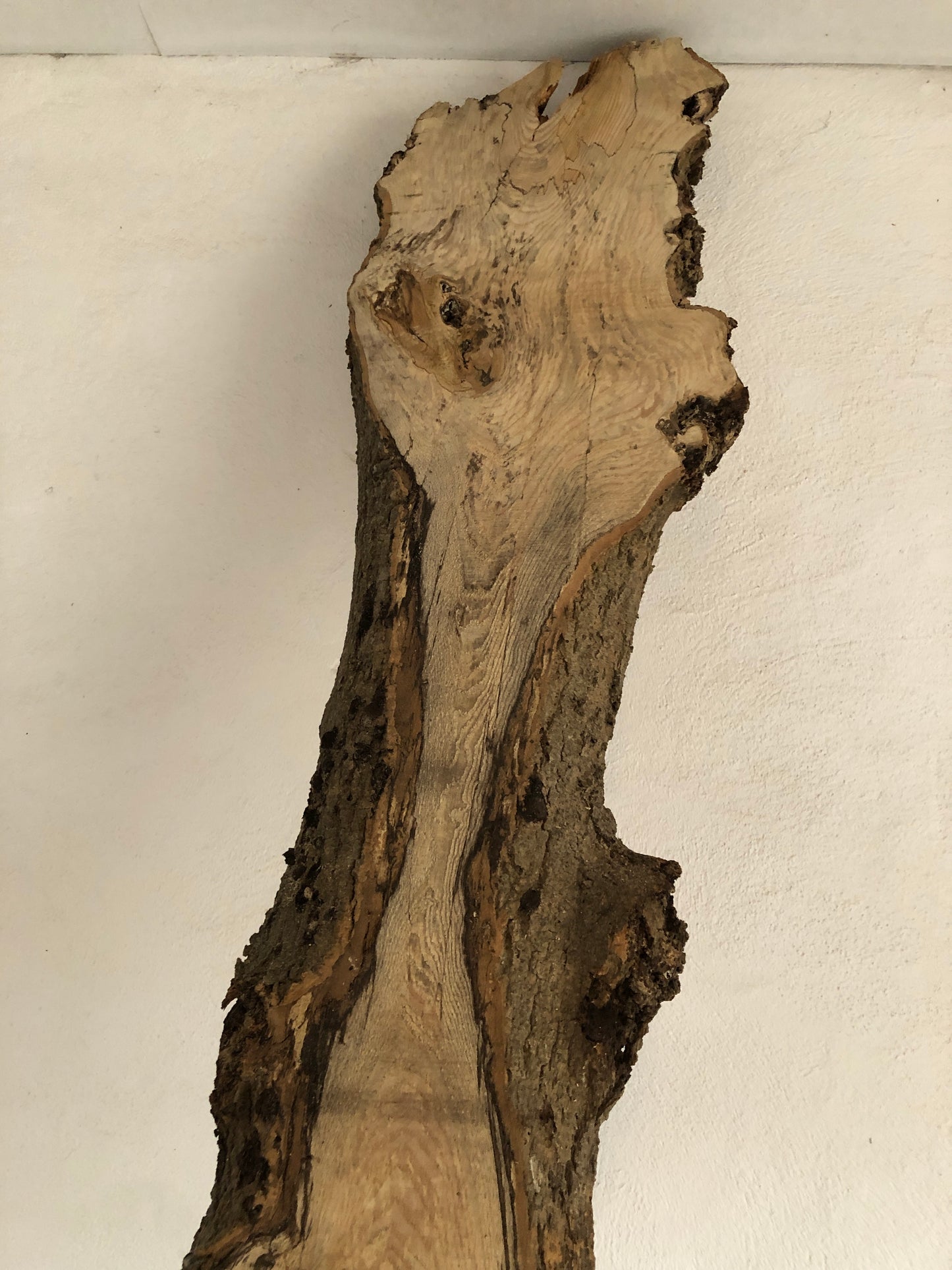 3m board / slab of spalted English Ash. Item A3.