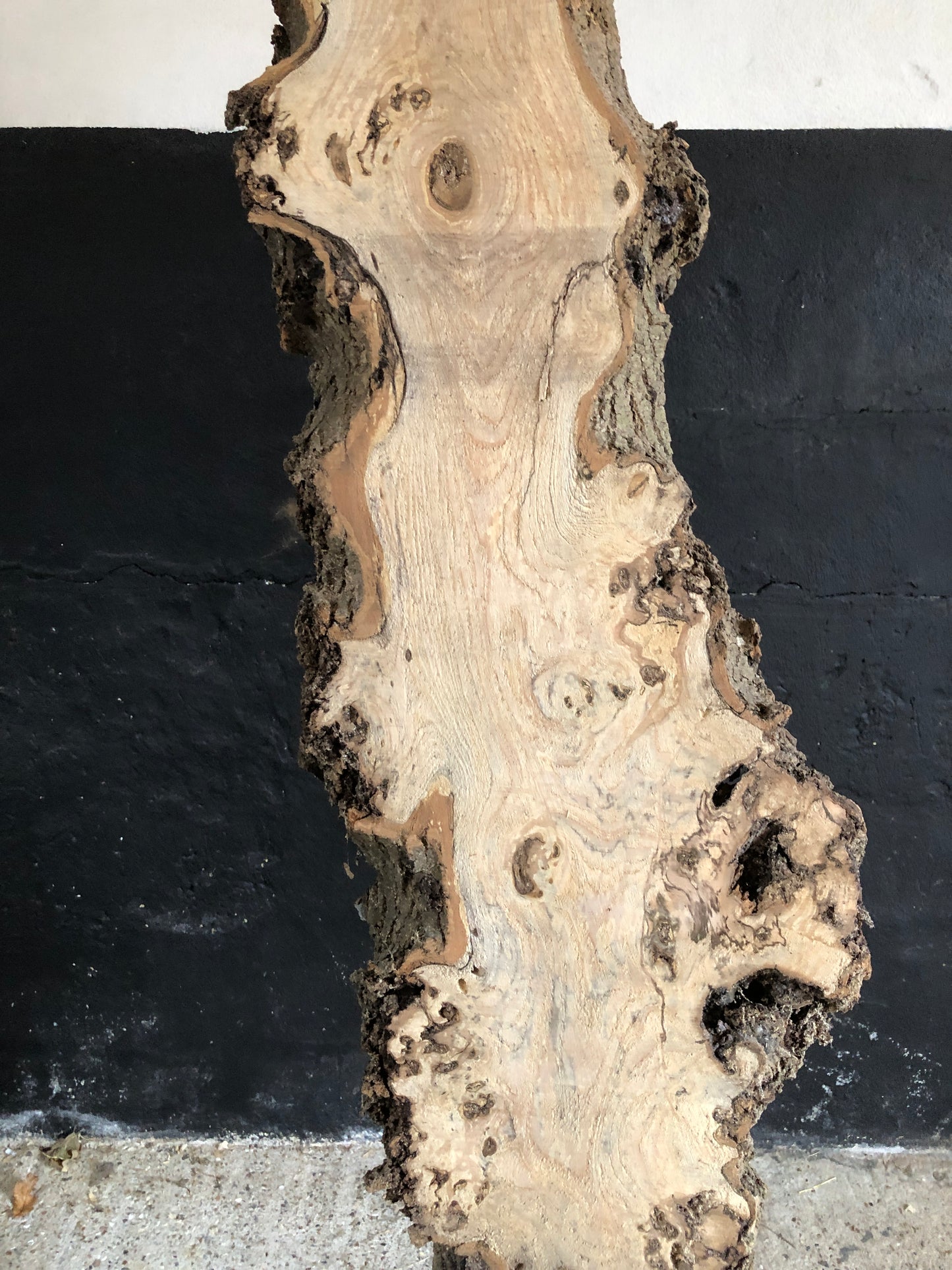 3m board / slab of spalted English Ash. Item A3.