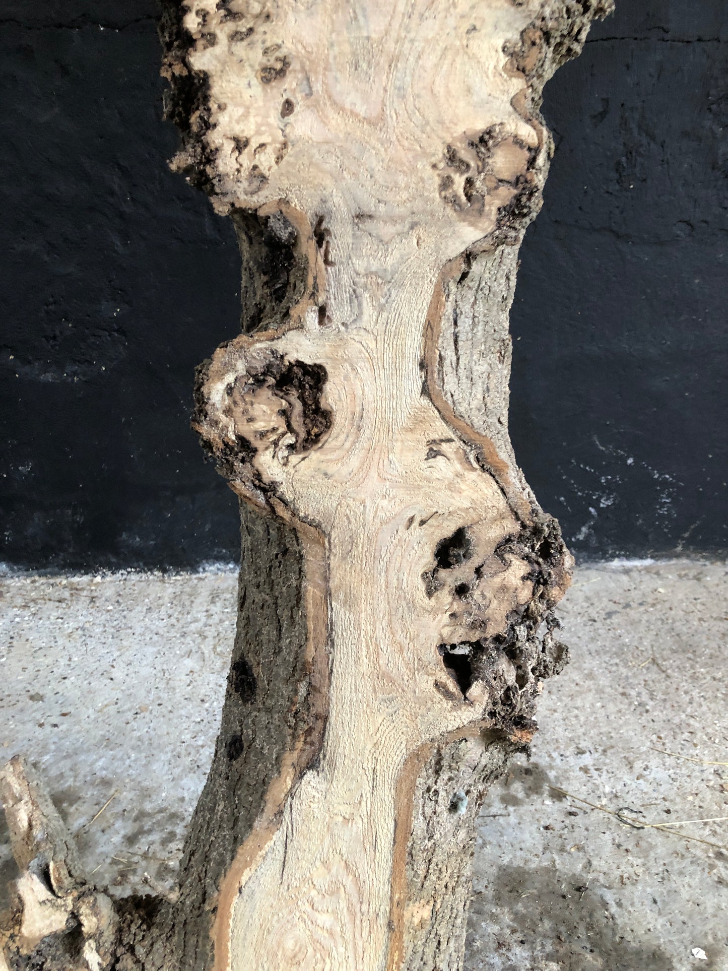 3m board / slab of spalted English Ash. Item A3.