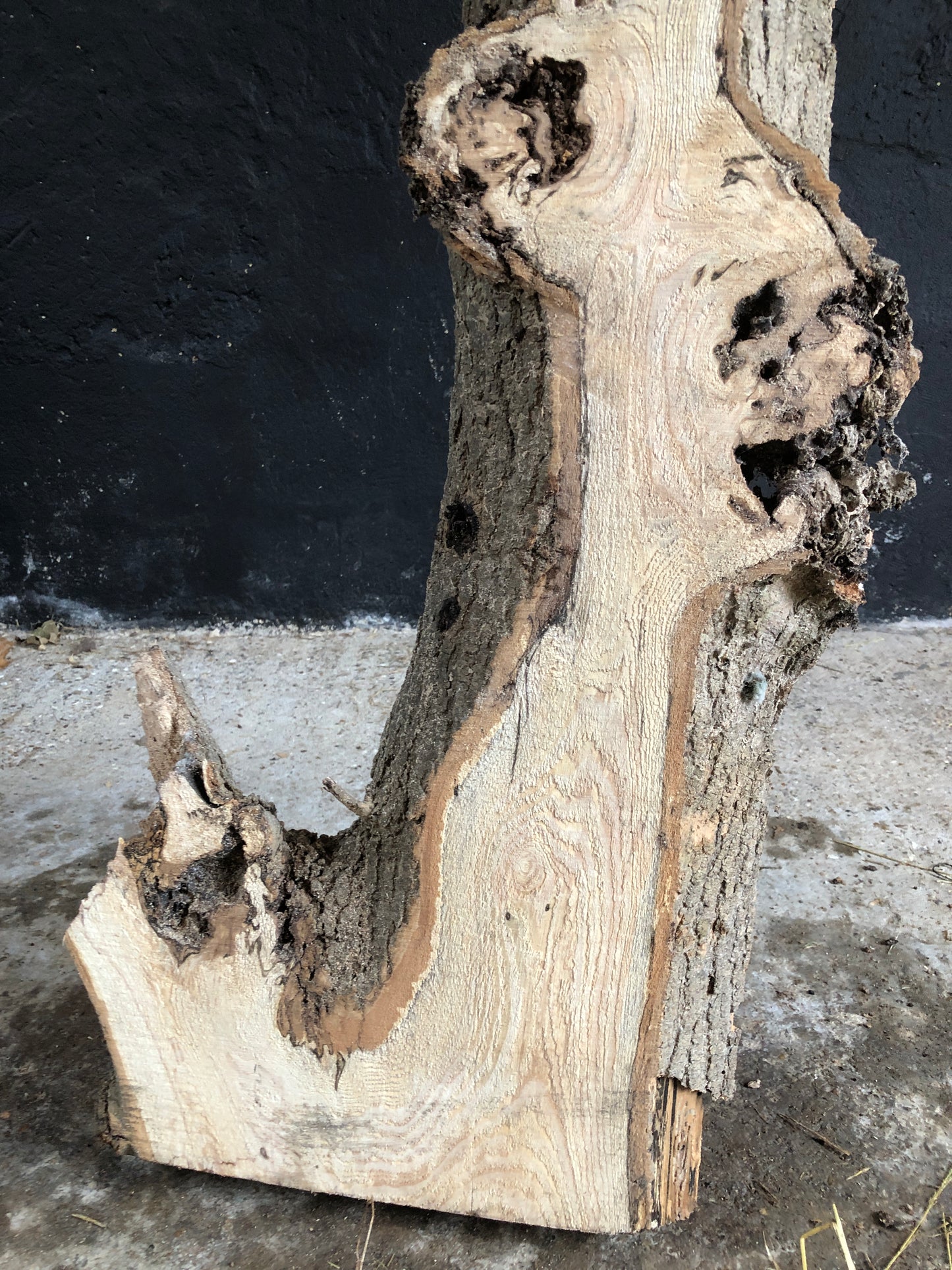 3m board / slab of spalted English Ash. Item A3.