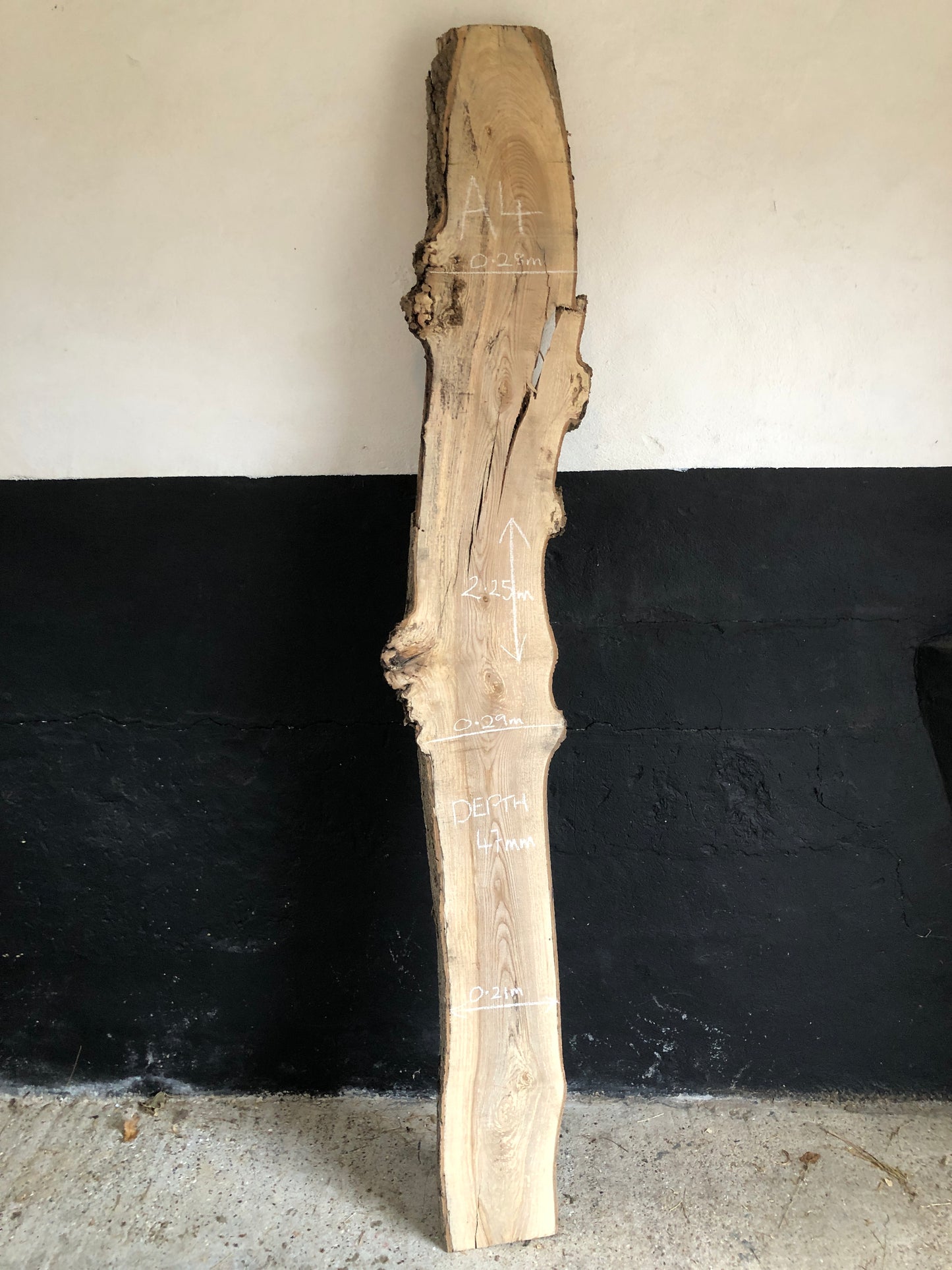 2.25m slab / board of English Ash. Item A4.