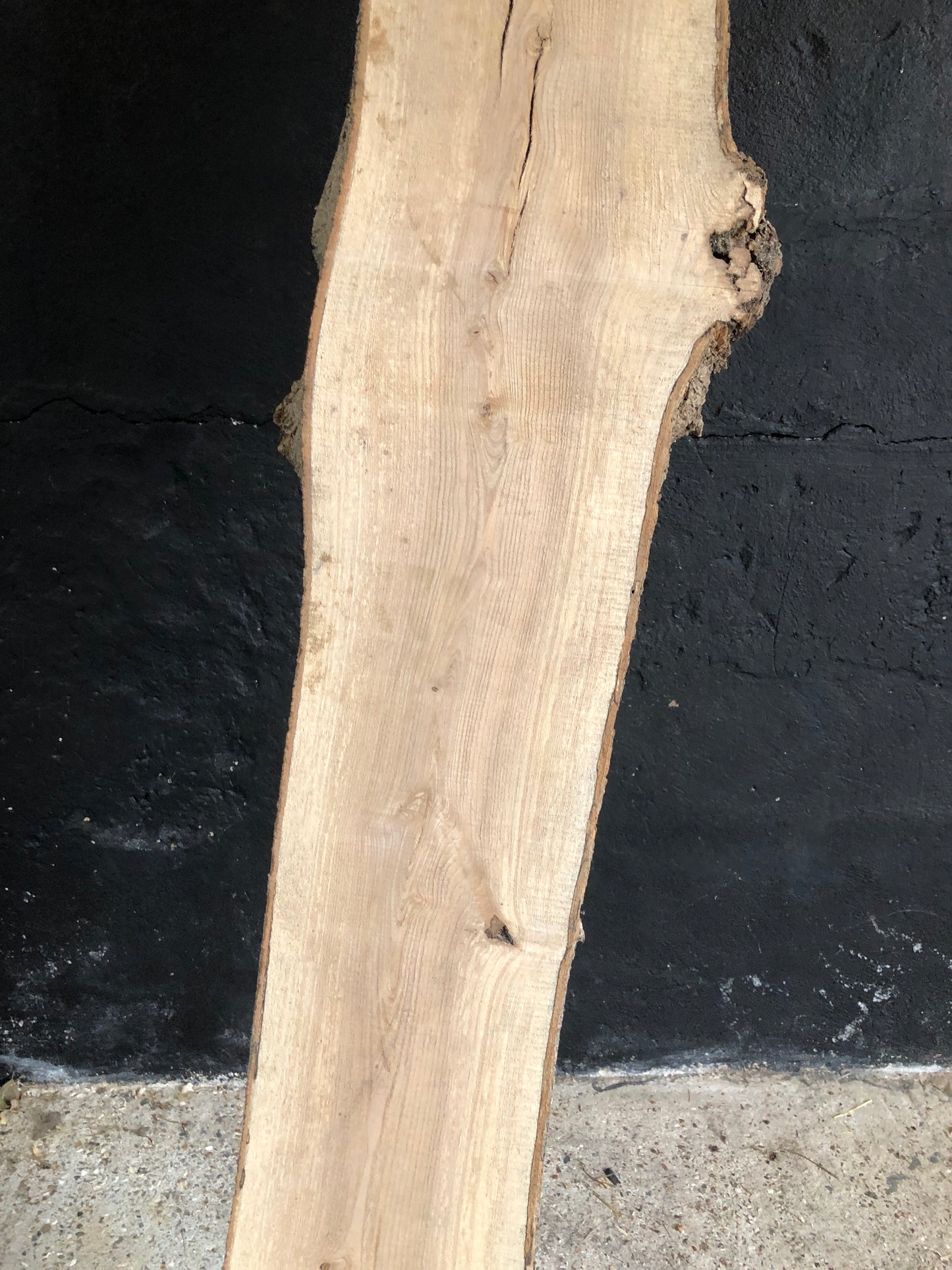 2.25m slab / board of English Ash. Item A4.