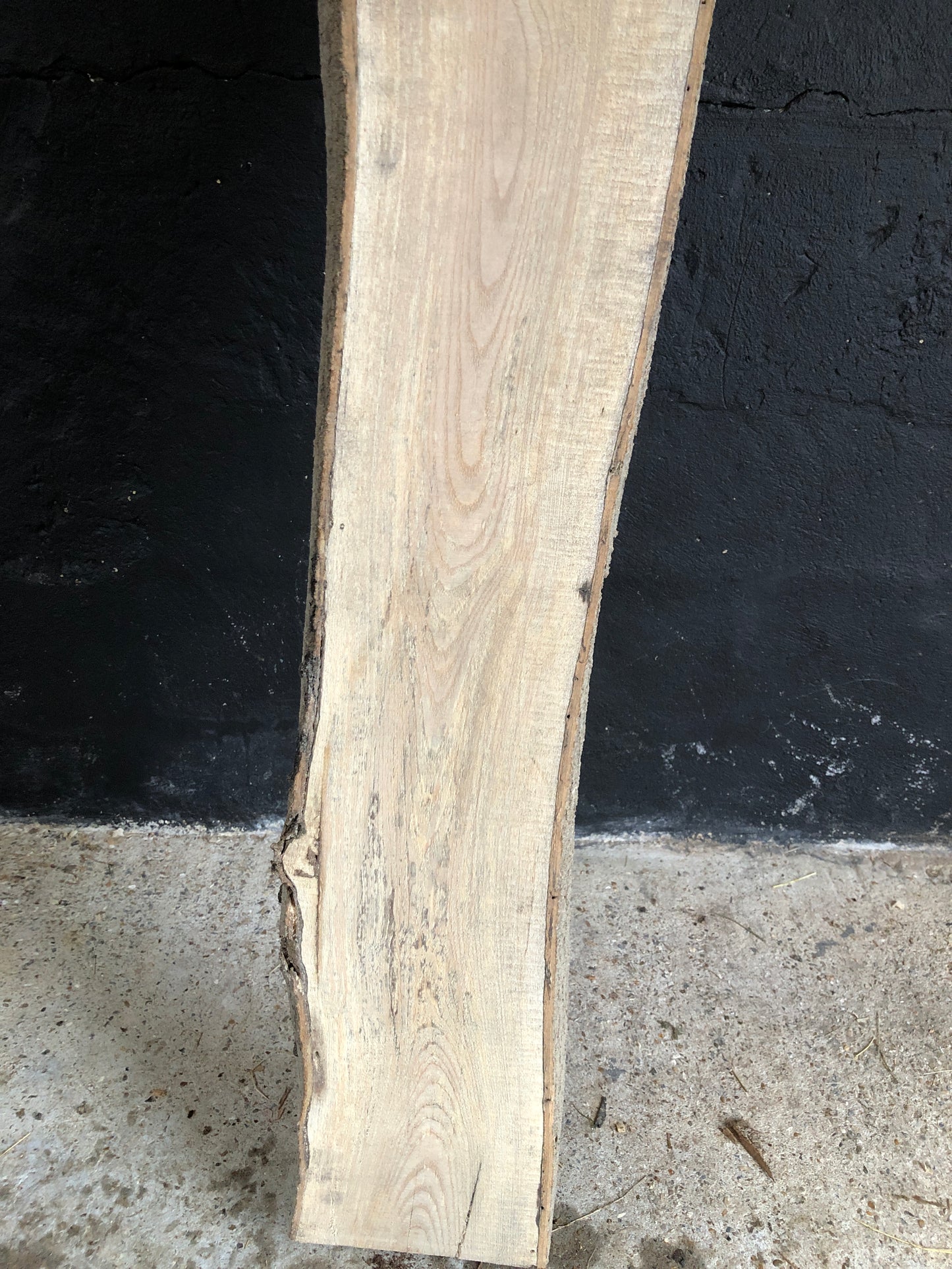 2.25m English Ash slab / board. Light spalting. Item A5.