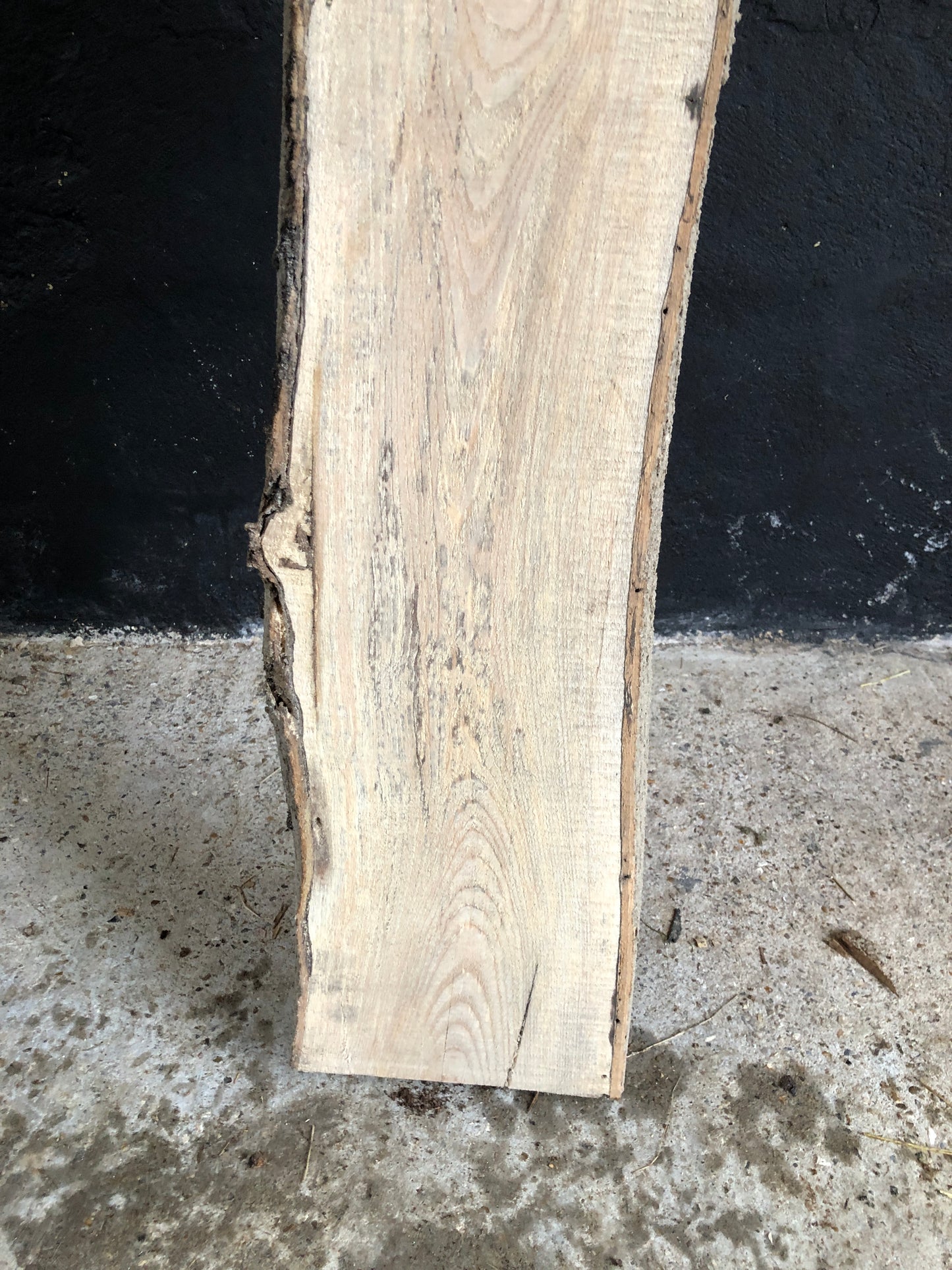 2.25m English Ash slab / board. Light spalting. Item A5.