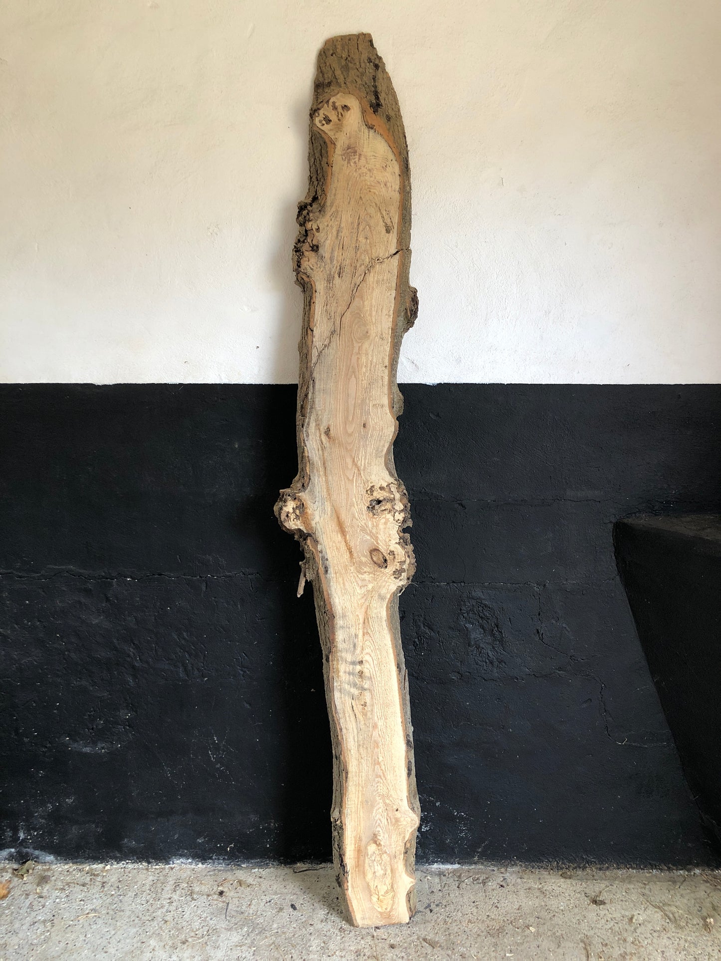 2.25m English ash slab / board. Light spalting. Item A6.