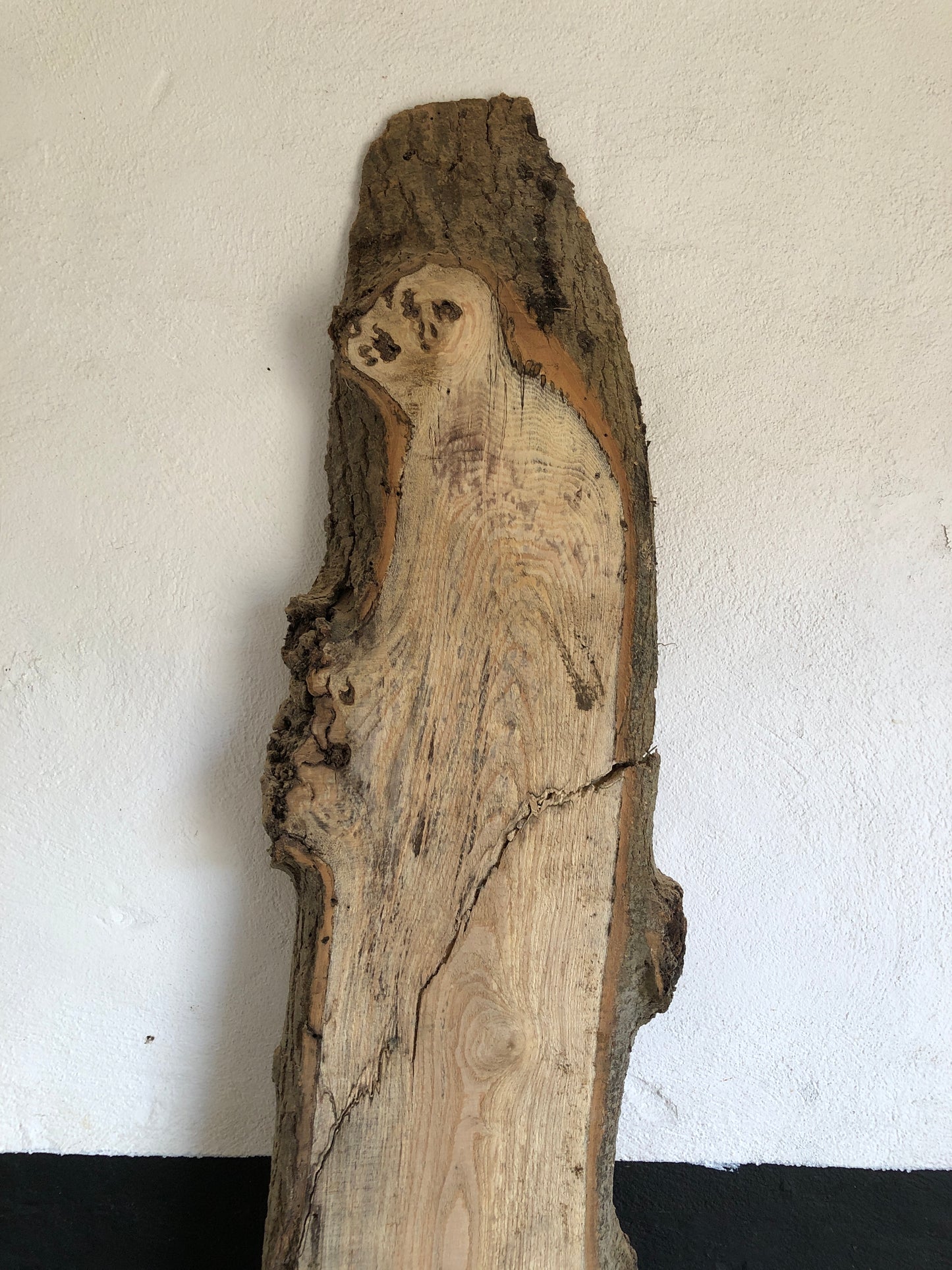 2.25m English ash slab / board. Light spalting. Item A6.