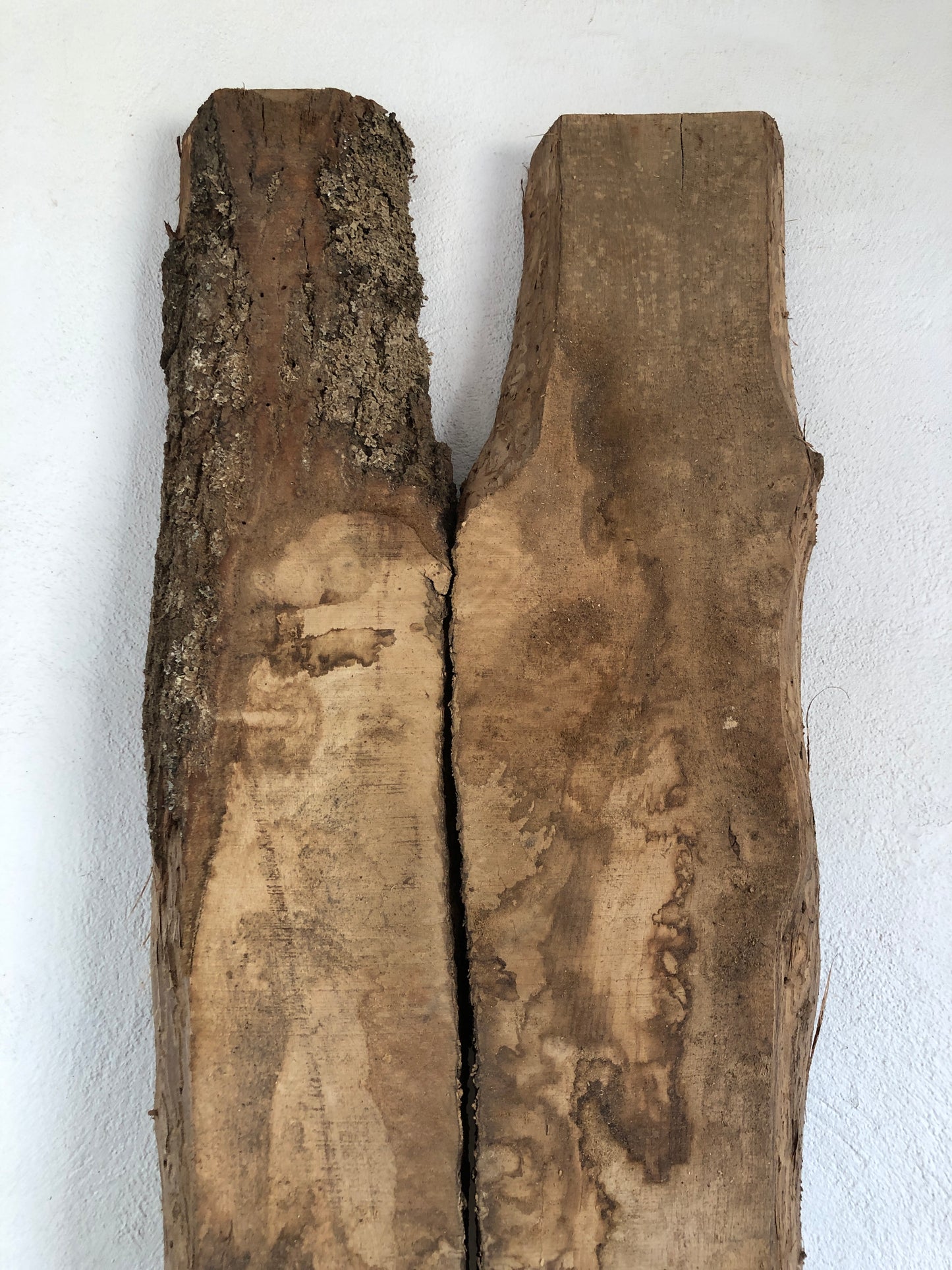 2.52m English oak slab. Kiln dried. Item O15.