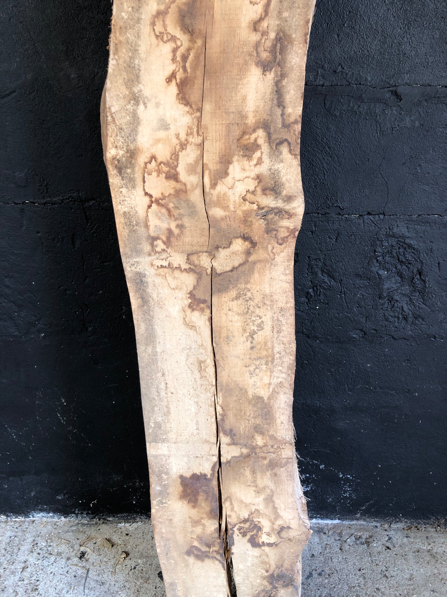 2.52m English oak slab. Kiln dried. Item O15.
