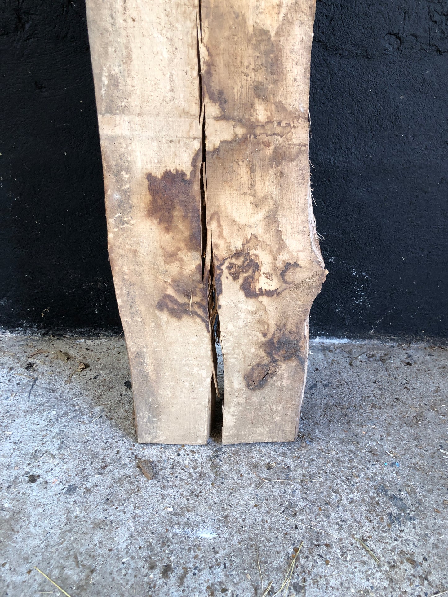 2.52m English oak slab. Kiln dried. Item O15.