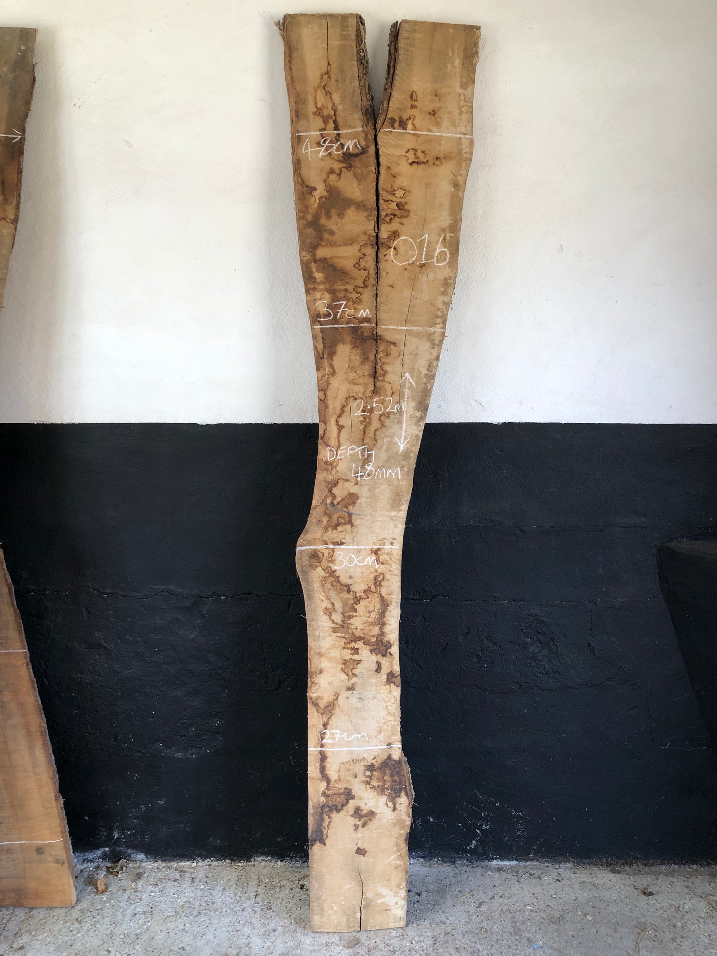 2.52m English oak slab. Kiln dried. Item O16.