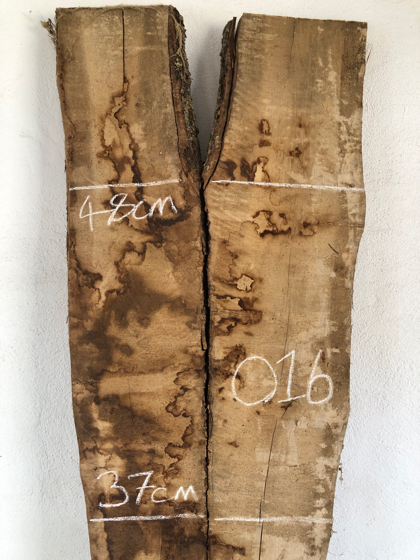 2.52m English oak slab. Kiln dried. Item O16.