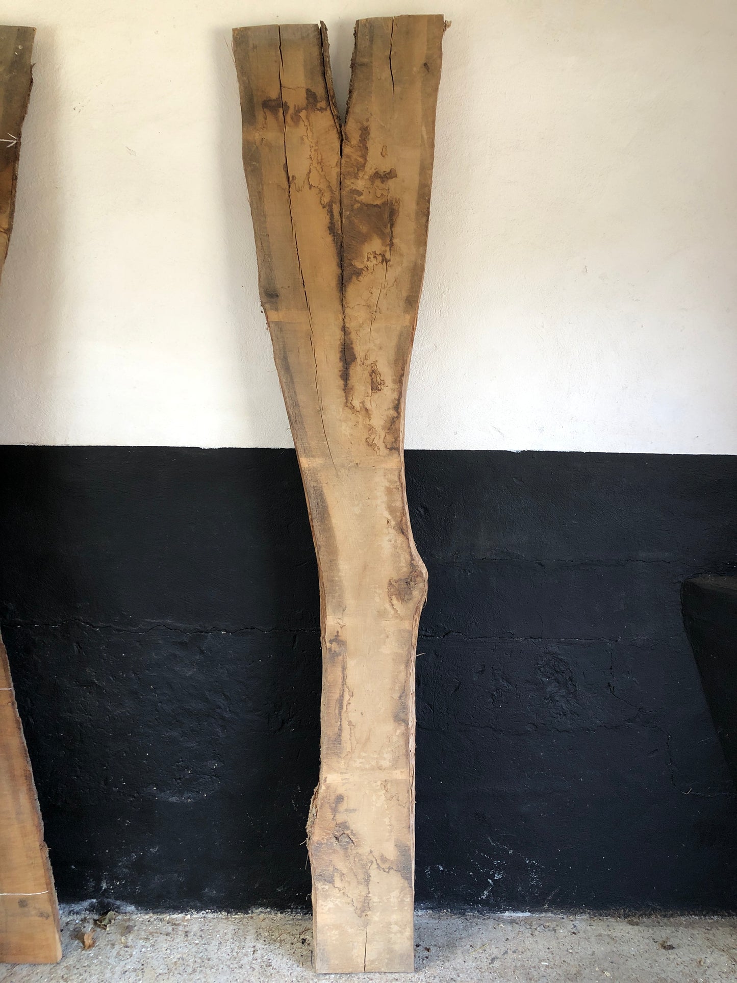 2.52m English oak slab. Kiln dried. Item O16.