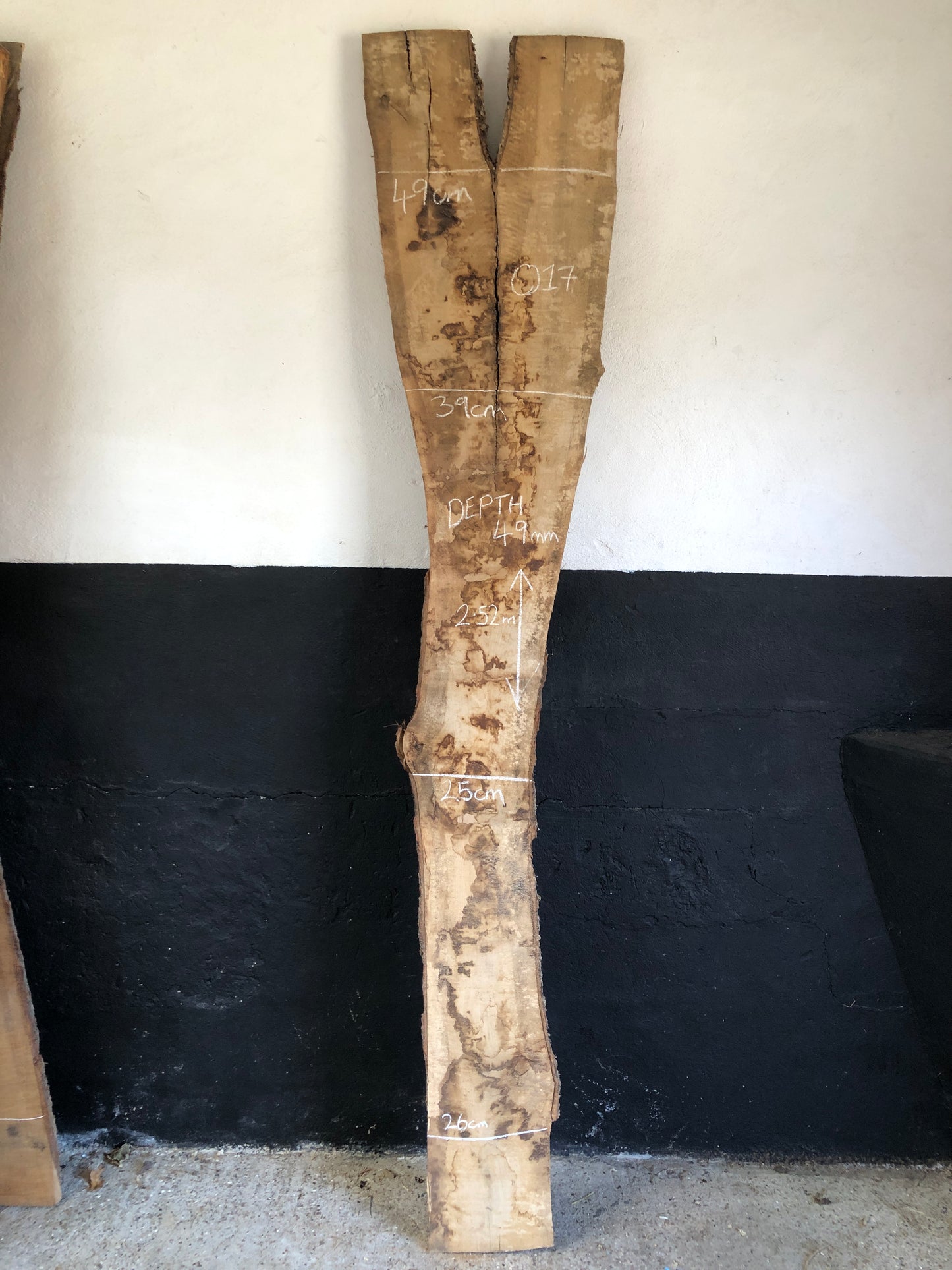 2.52m English oak slab. Kiln dried. Item O17.