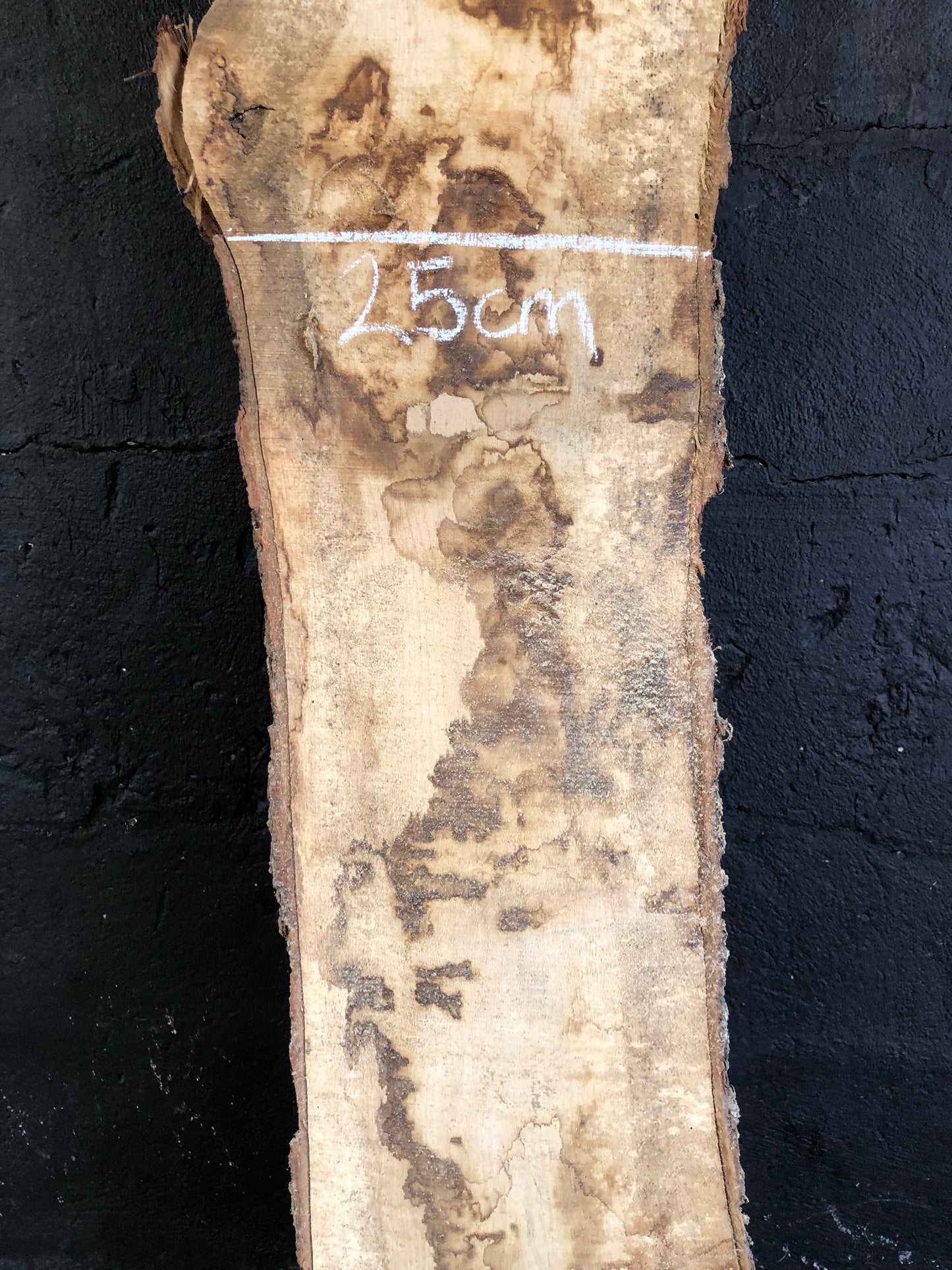 2.52m English oak slab. Kiln dried. Item O17.