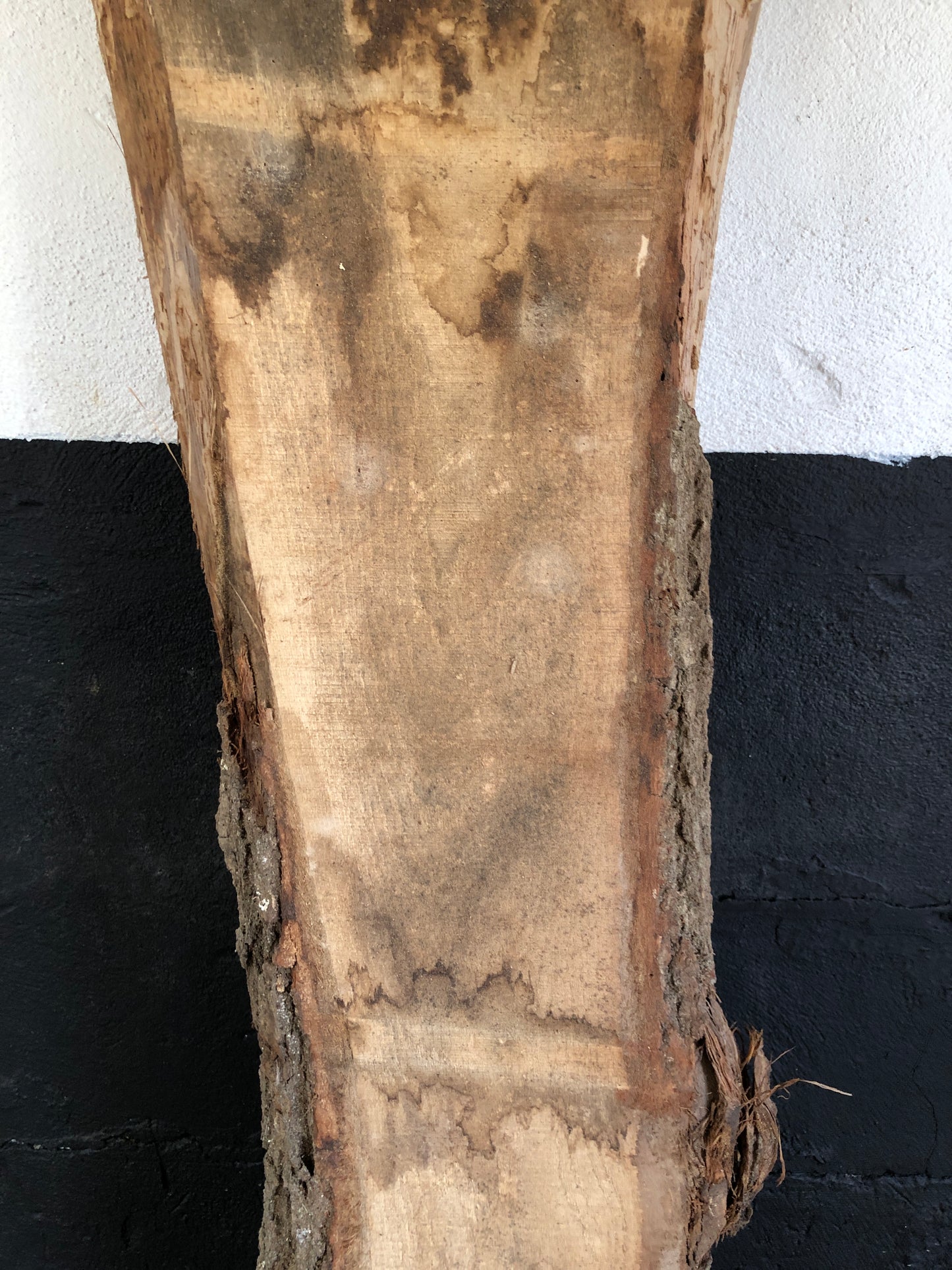2.52m English oak slab. Kiln dried. Item O17.