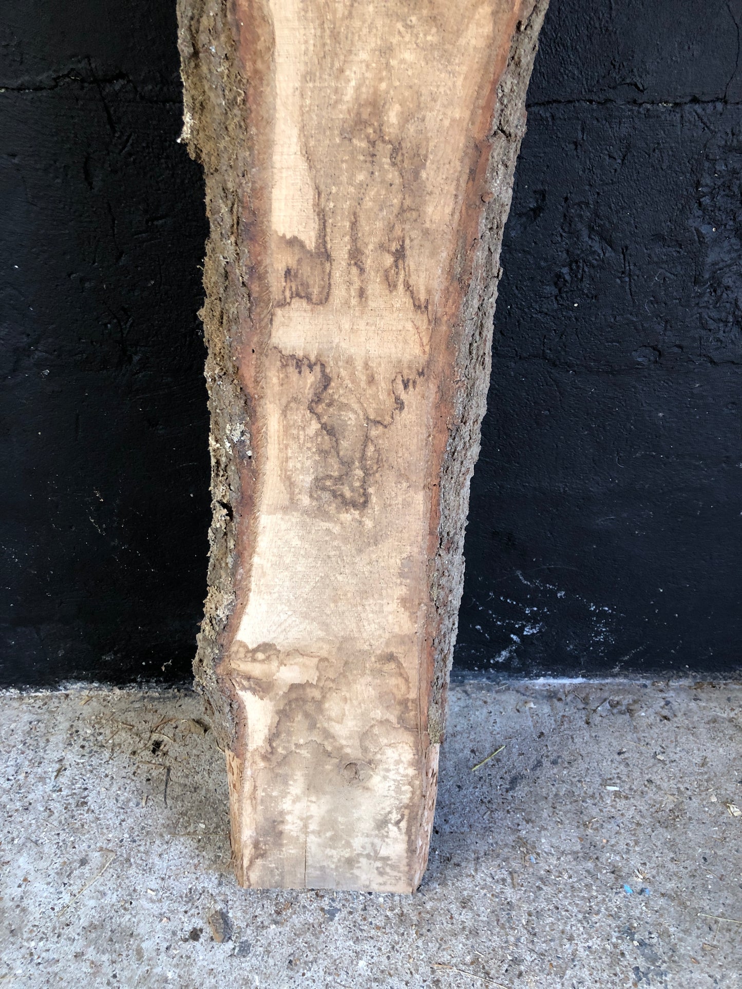 2.52m English oak slab. Kiln dried. Item O17.