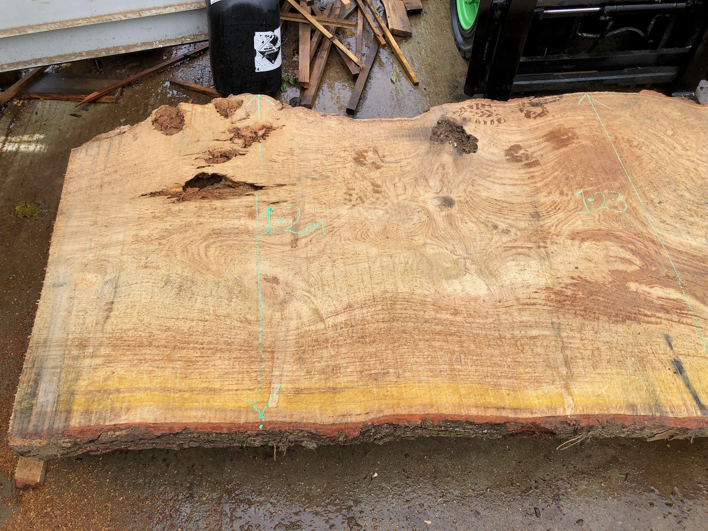 4.84m English Brown Oak Slab. Available March-April, 2024. Item #13.