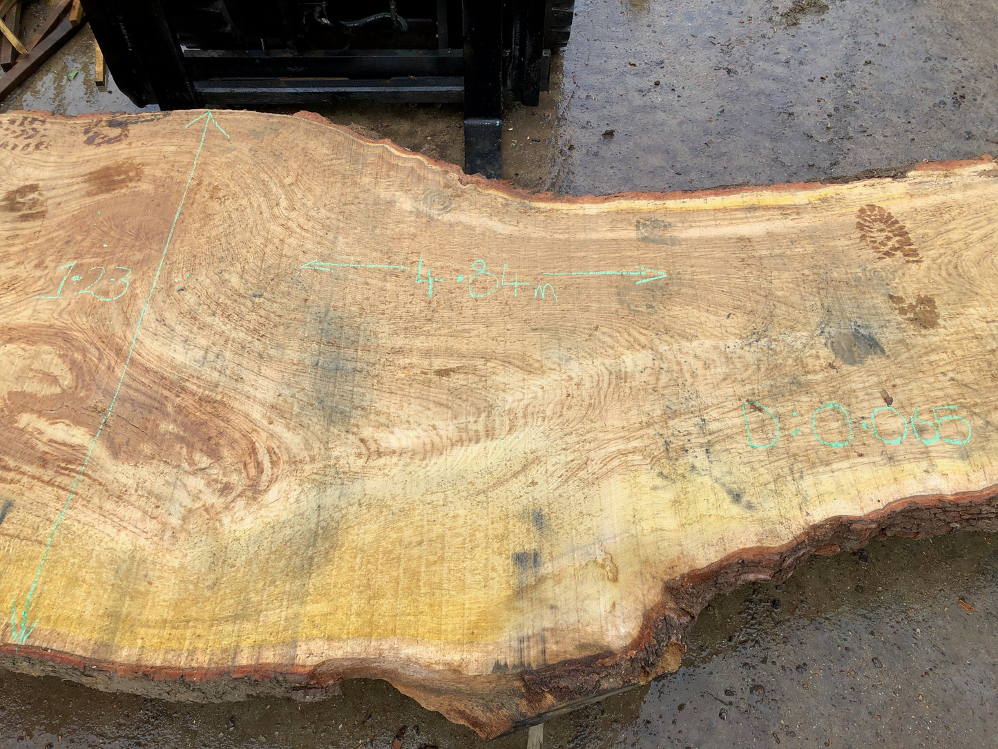 4.84m English Brown Oak Slab. Available March-April, 2024. Item #13.