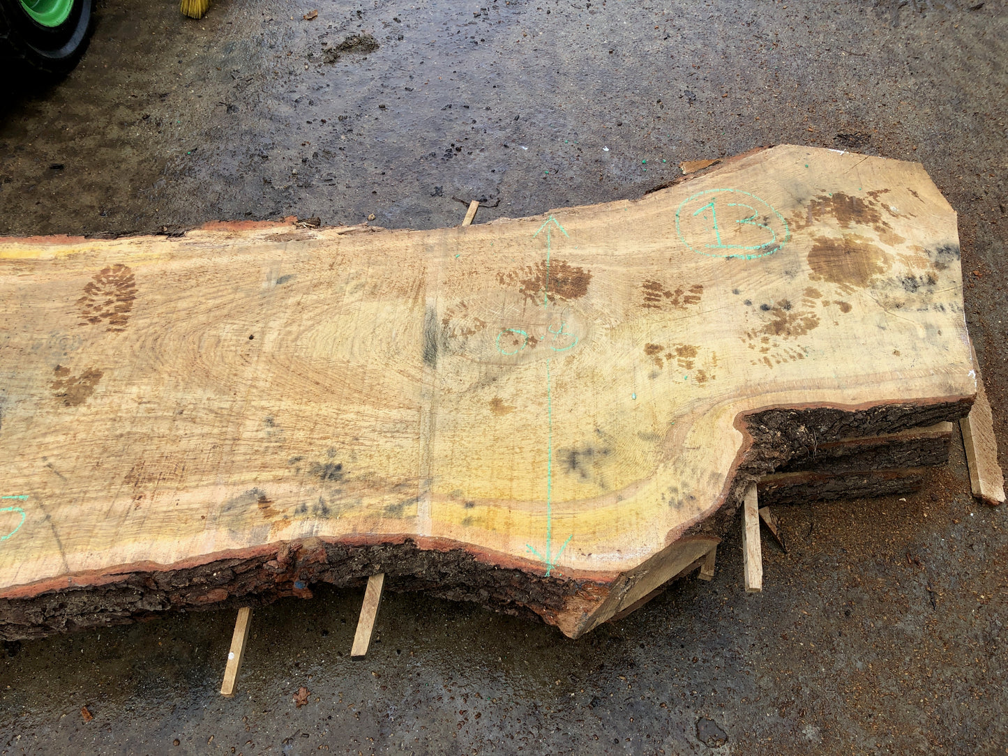 4.84m English Brown Oak Slab. Available March-April, 2024. Item #13.