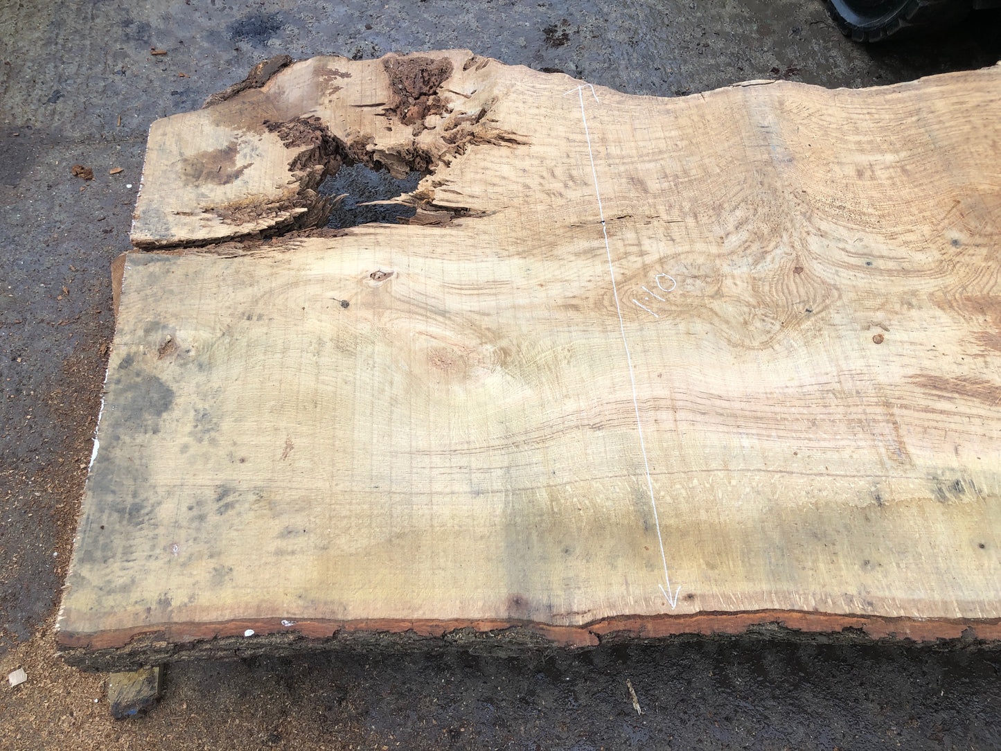 4.9m English Brown Oak Slab. Available March-April, 2024. Item #15.