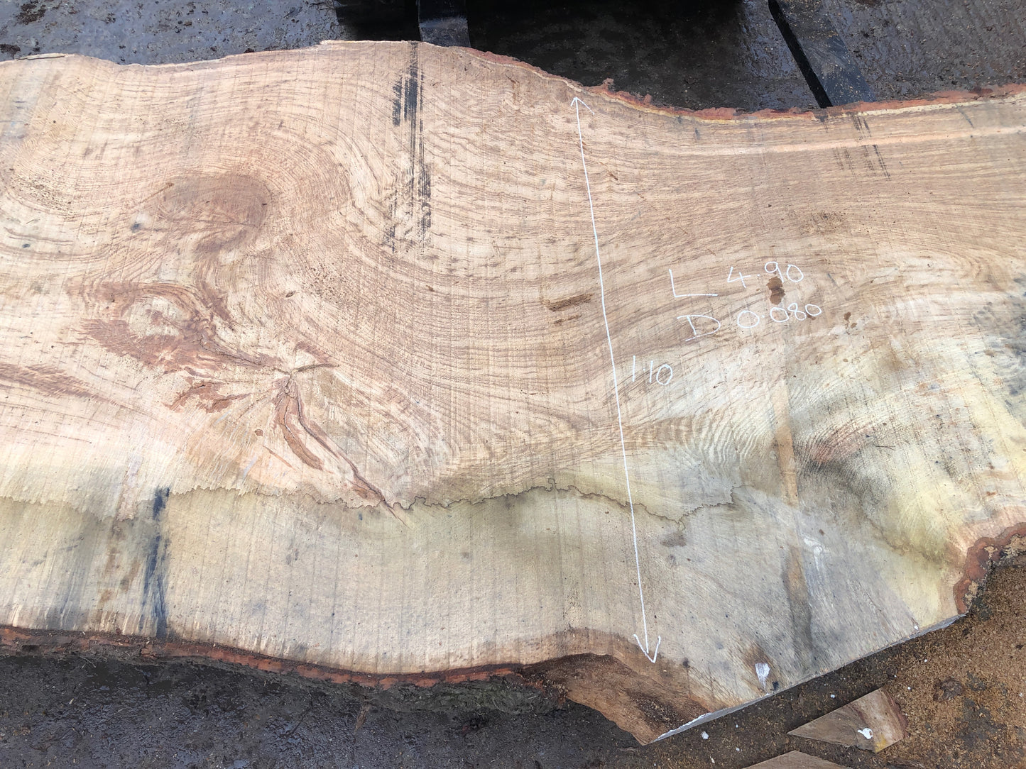 4.9m English Brown Oak Slab. Available March-April, 2024. Item #15.