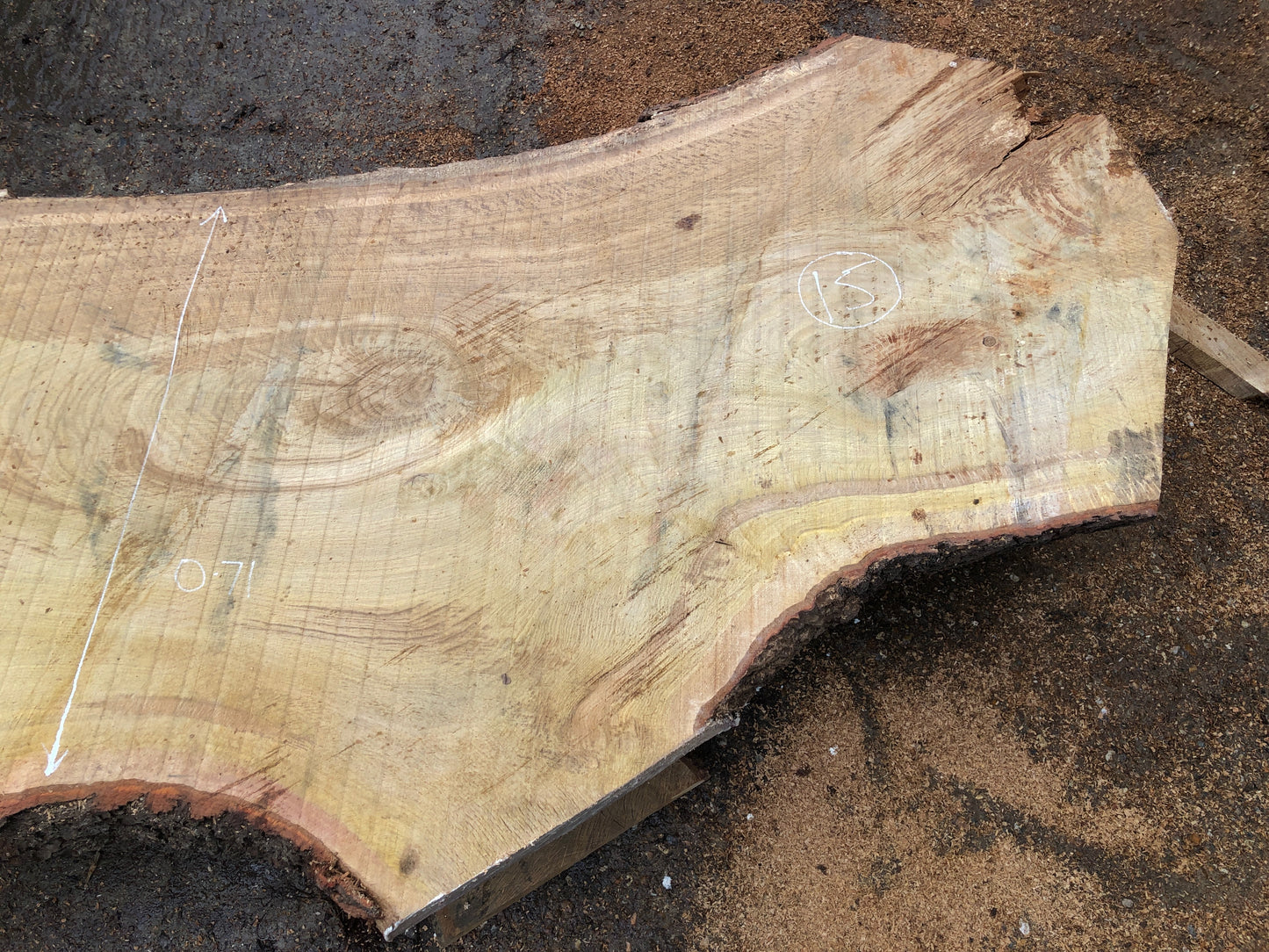 4.9m English Brown Oak Slab. Available March-April, 2024. Item #15.