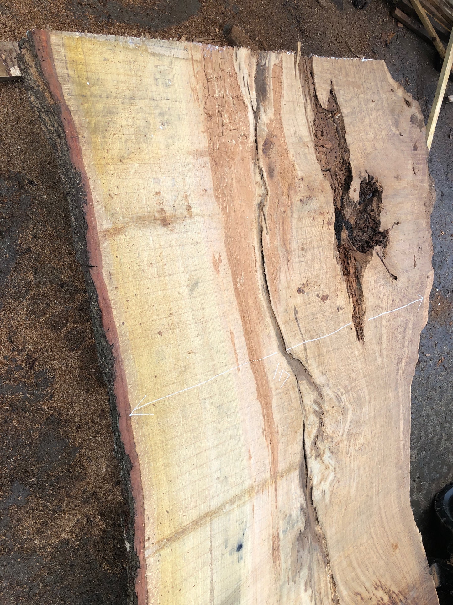 4.95m English Brown Oak Slab. Available March-April, 2024. Item #16.