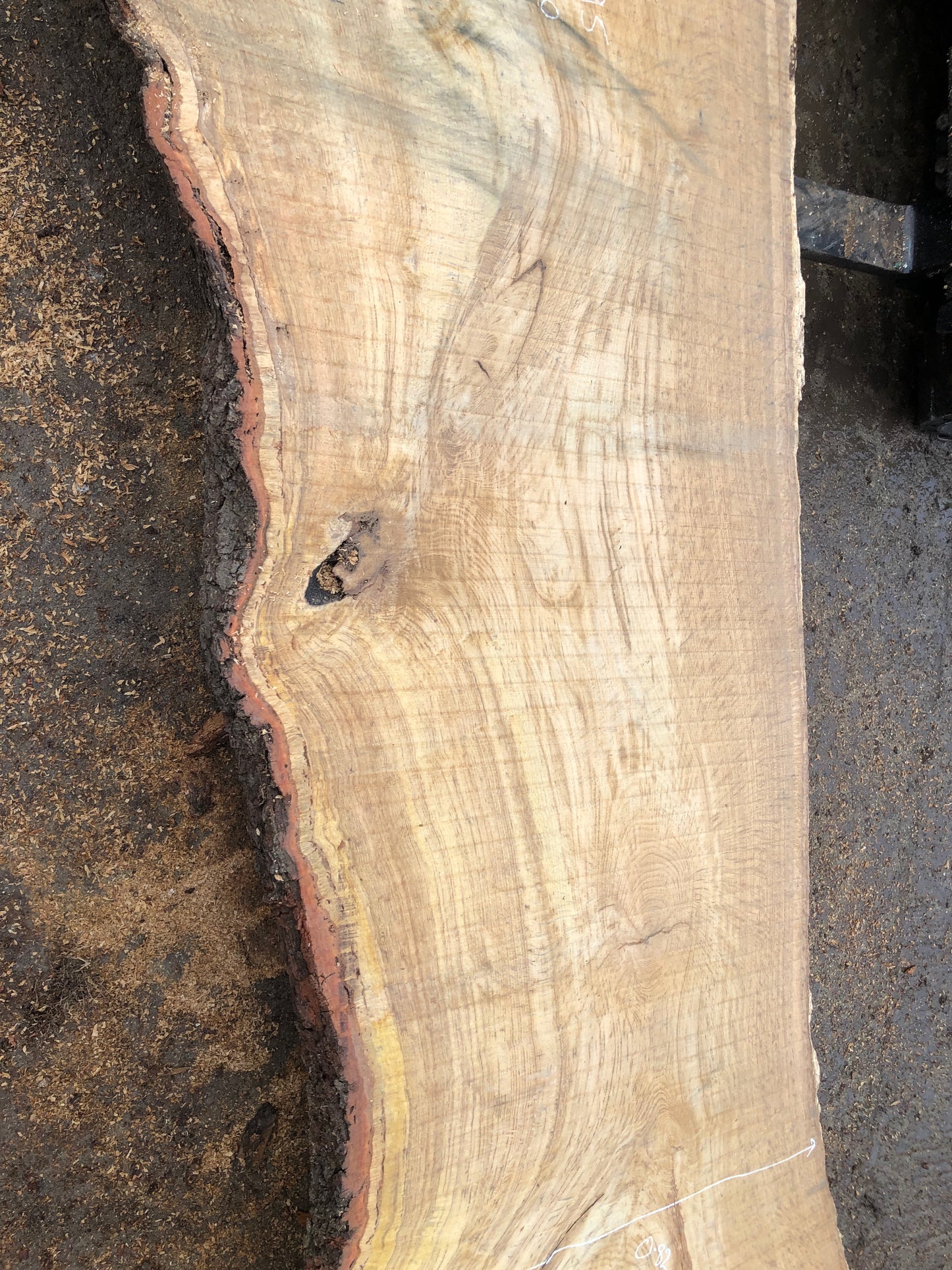 4.95m English Brown Oak Slab. Available March-April, 2024. Item #16.