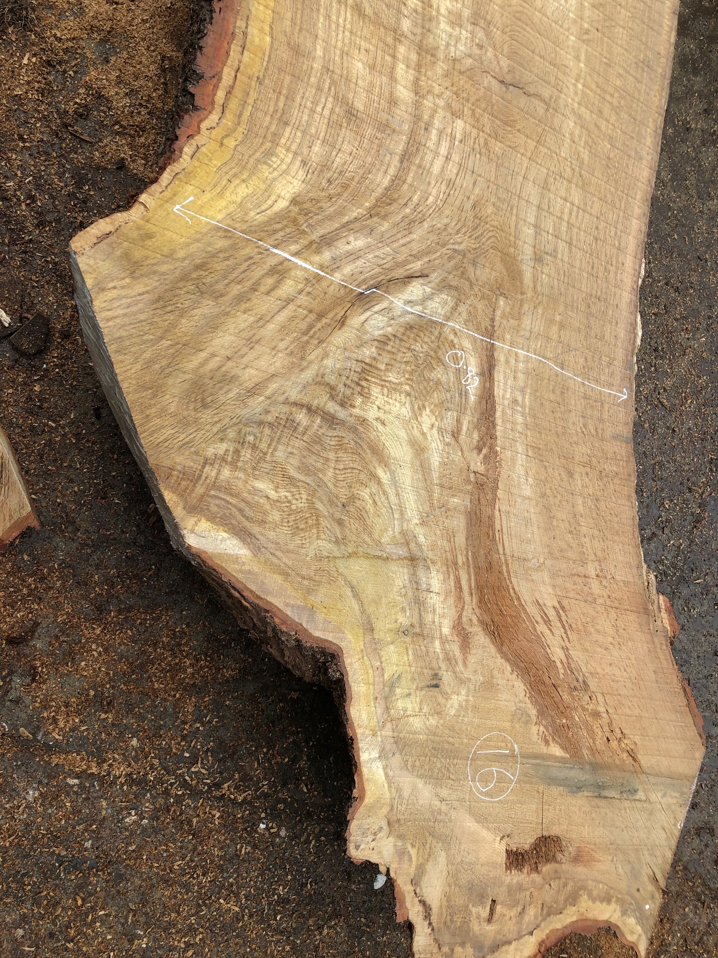 4.95m English Brown Oak Slab. Available March-April, 2024. Item #16.