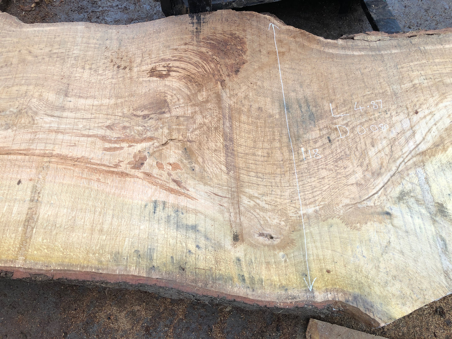 4.87m English Brown Oak Slab. Available March-April, 2024. Item #17.