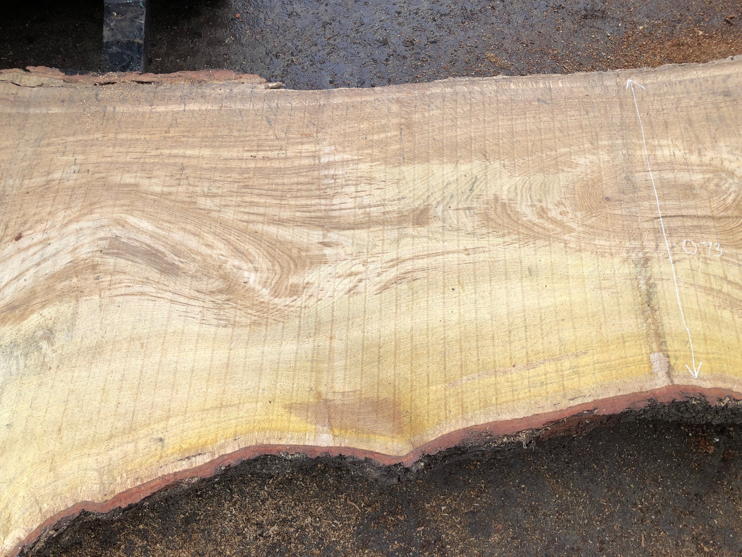 4.87m English Brown Oak Slab. Available March-April, 2024. Item #17.