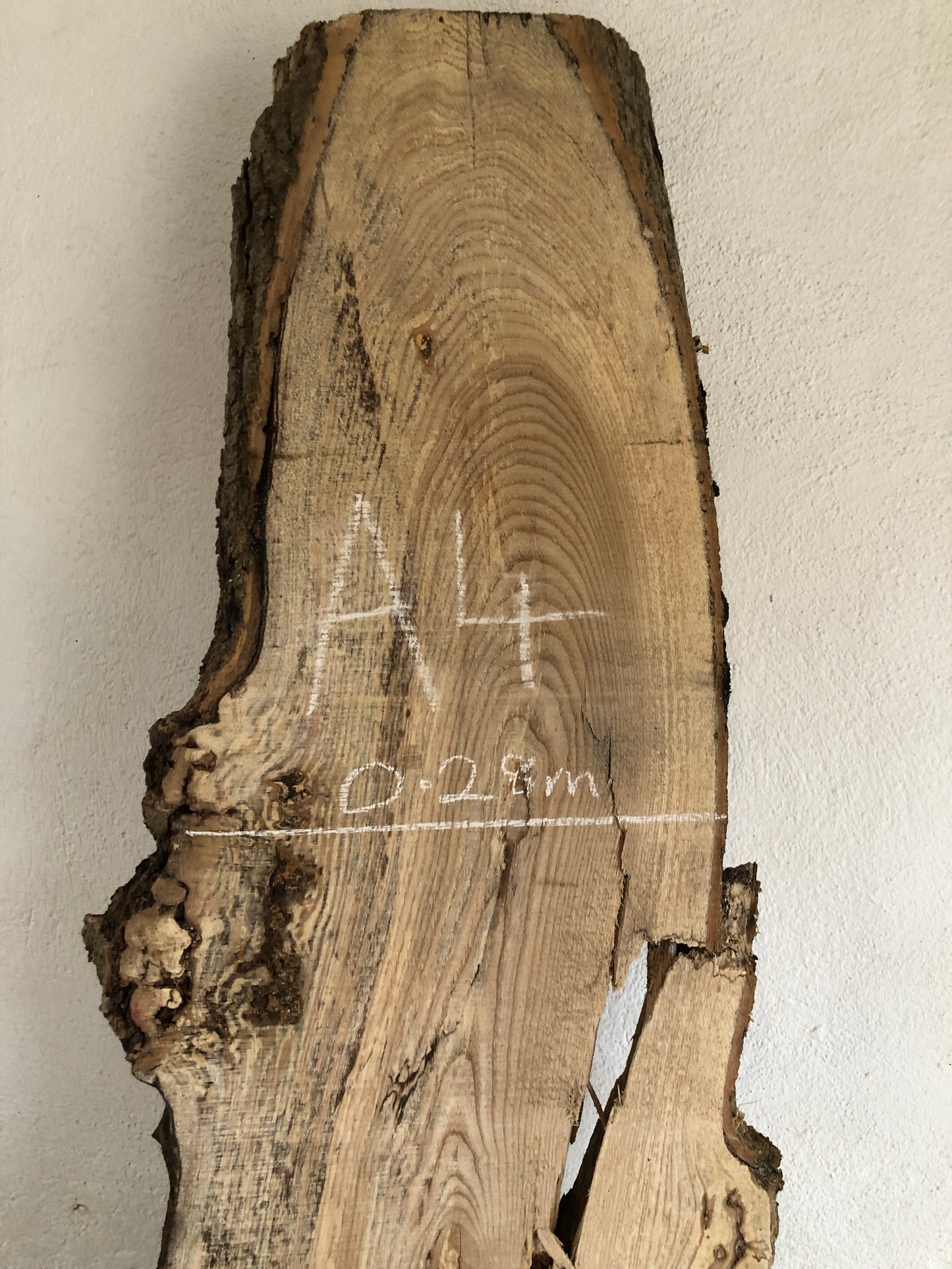 2.25m slab / board of English Ash. Item A4.